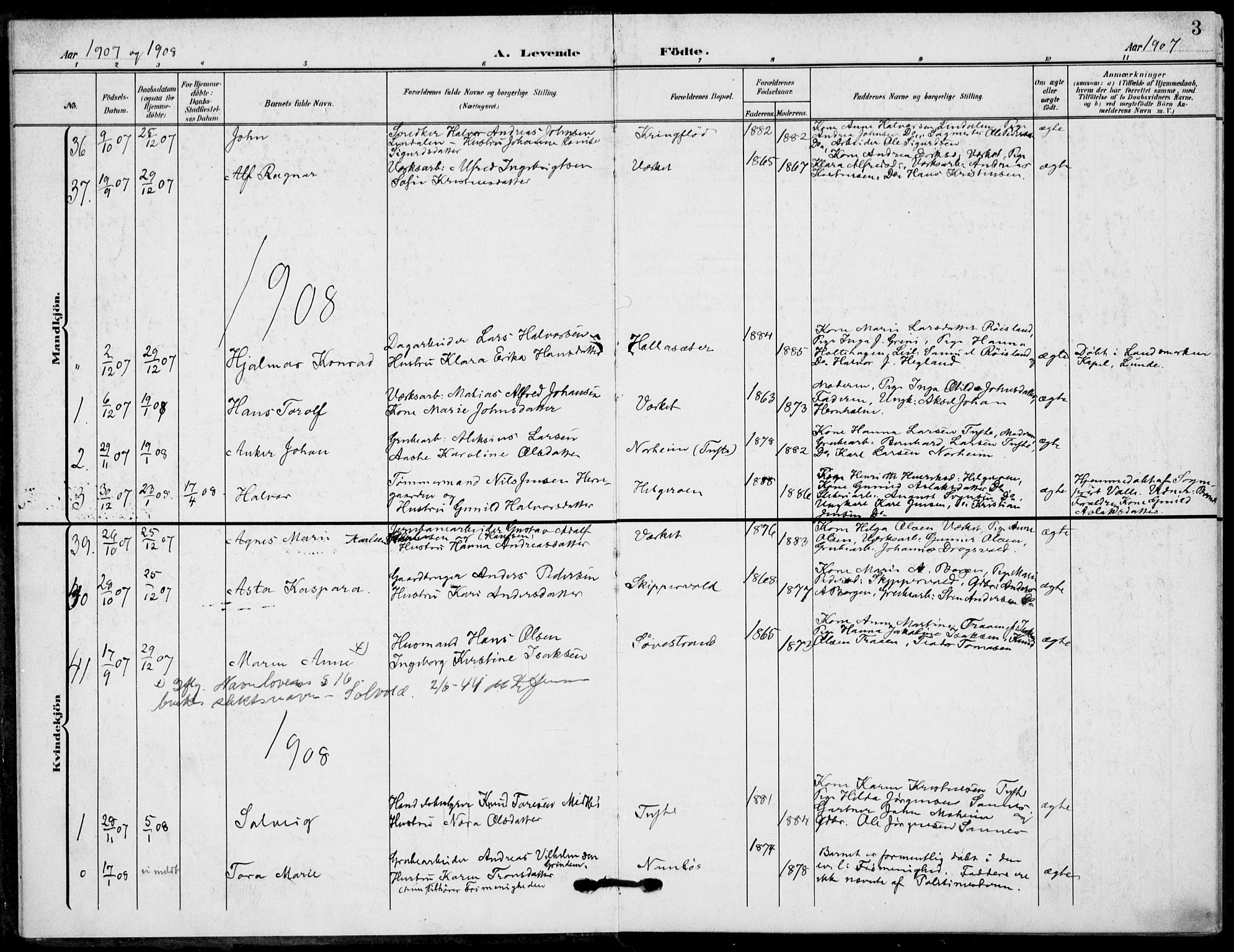 Holla kirkebøker, AV/SAKO-A-272/F/Fa/L0012: Parish register (official) no. 12, 1907-1923, p. 3