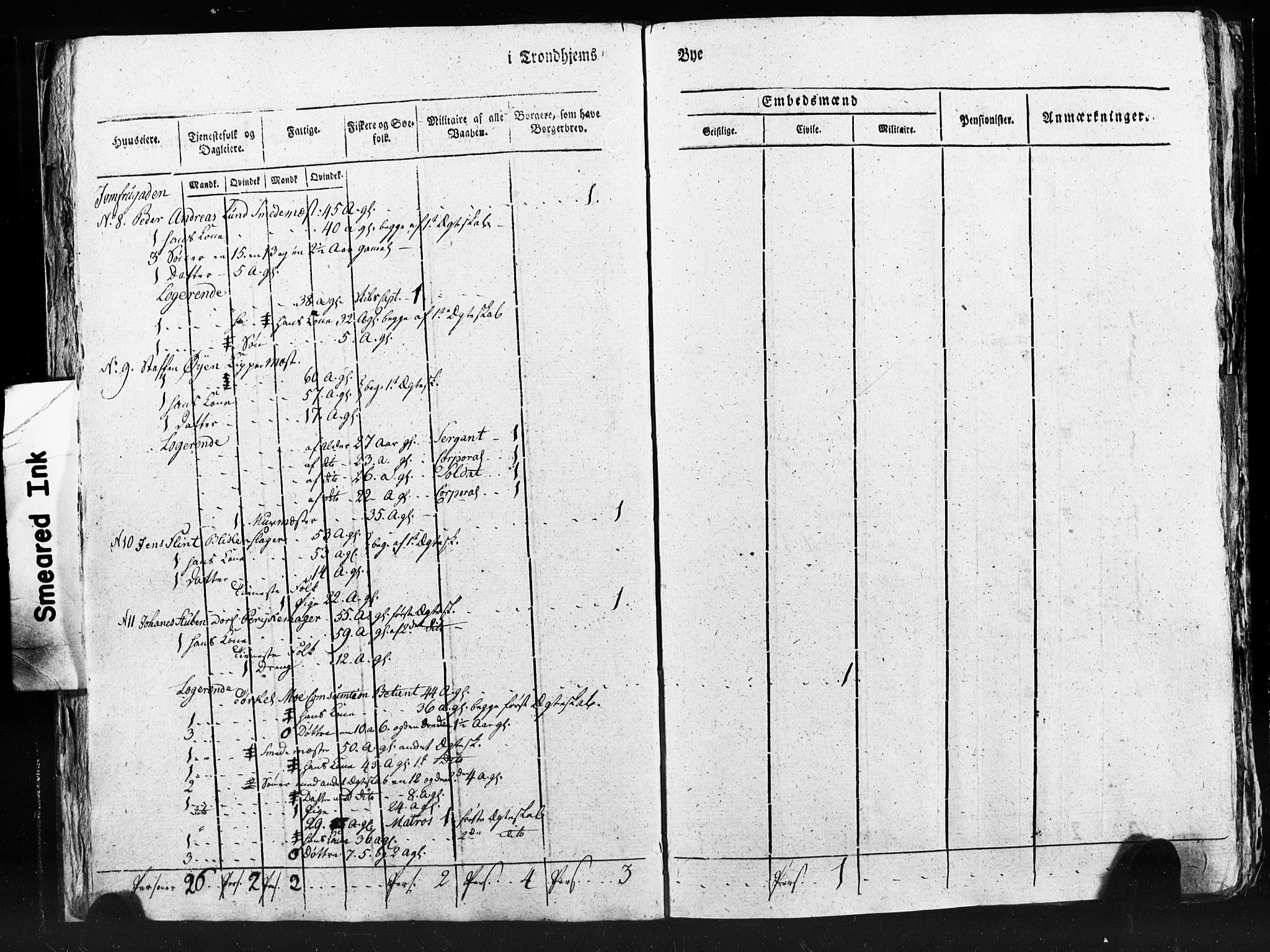 SAT, Census 1815 for Trondheim (transcript), 1815, p. 229