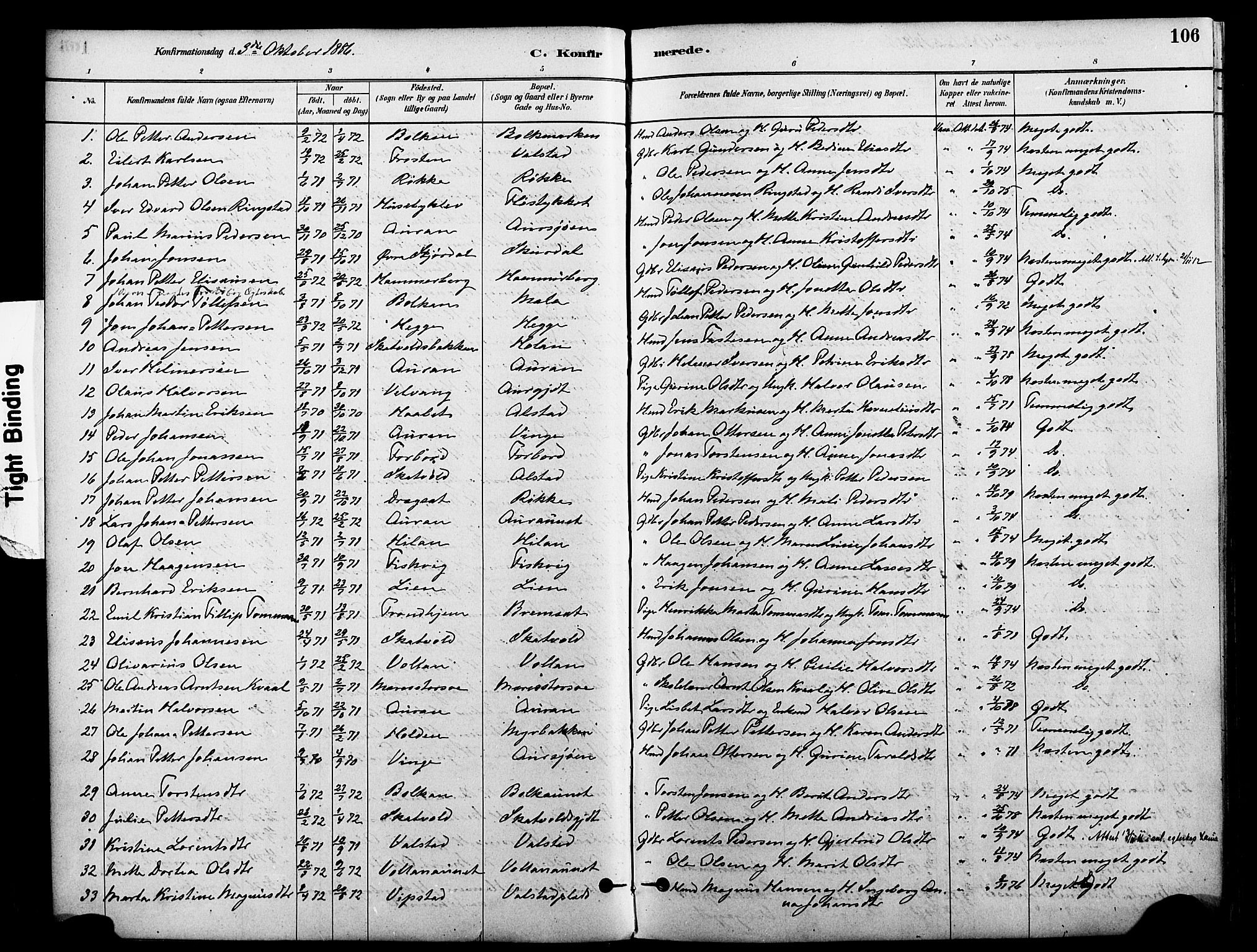 Ministerialprotokoller, klokkerbøker og fødselsregistre - Nord-Trøndelag, SAT/A-1458/712/L0100: Parish register (official) no. 712A01, 1880-1900, p. 106