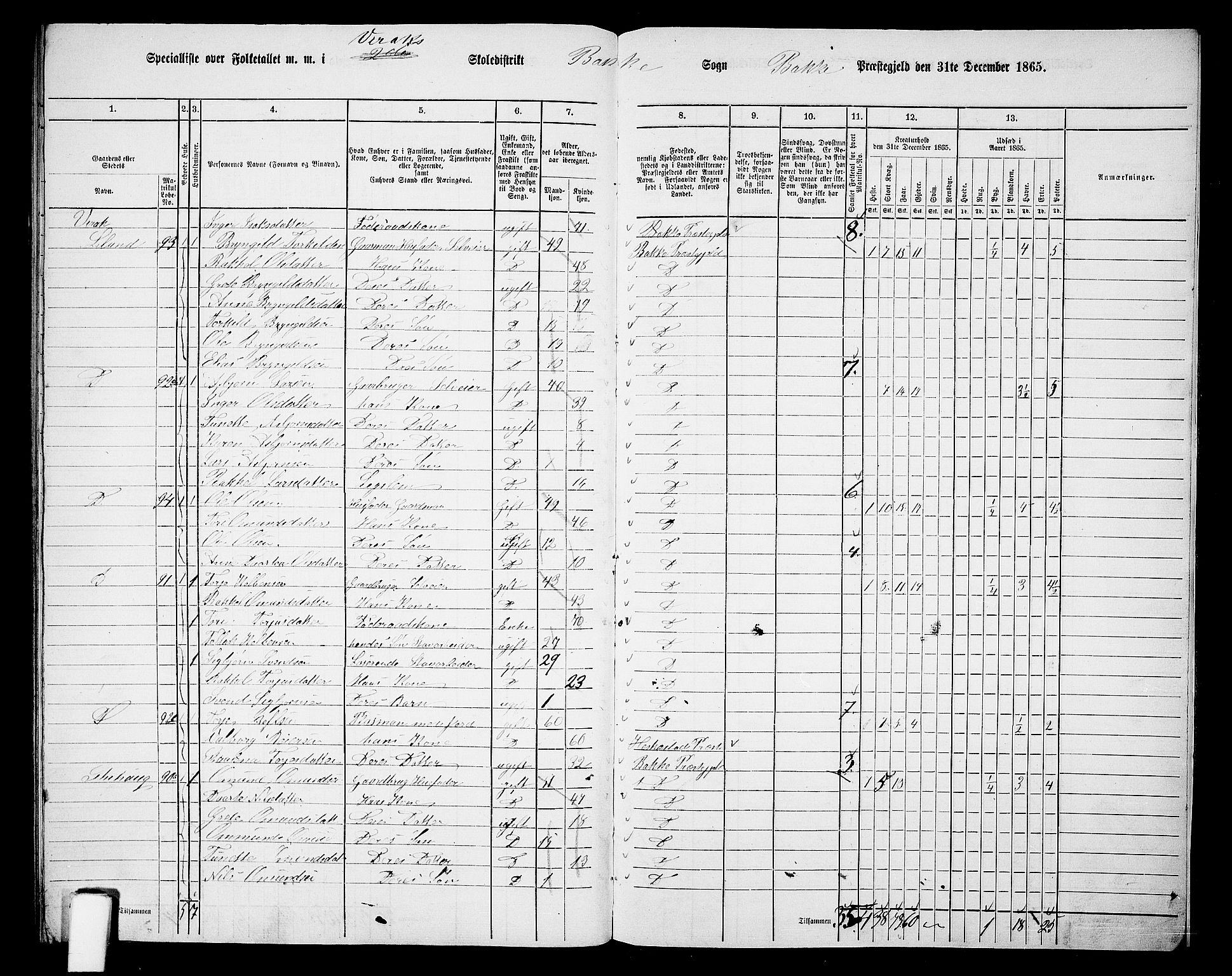 RA, 1865 census for Bakke, 1865, p. 115