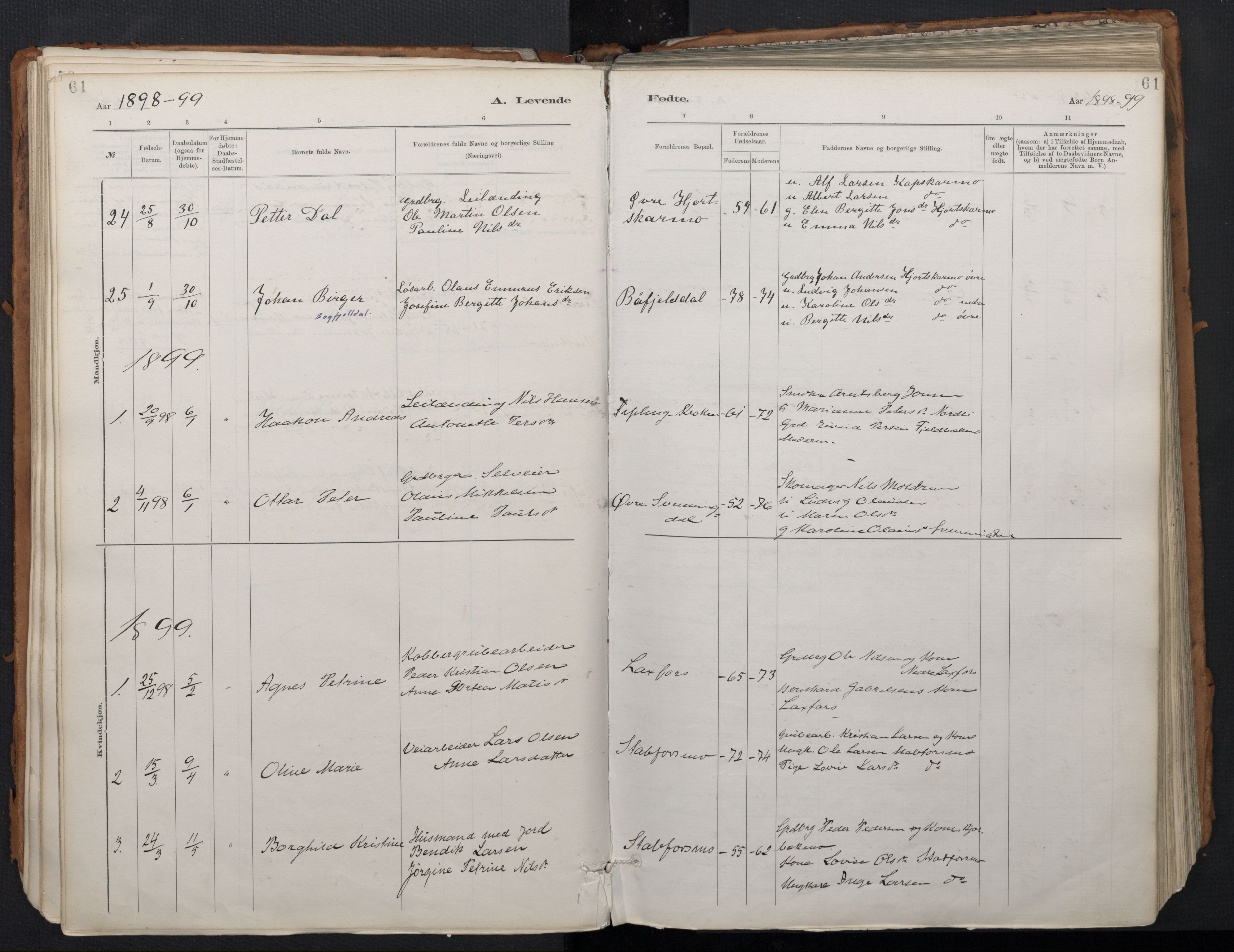 Ministerialprotokoller, klokkerbøker og fødselsregistre - Nordland, SAT/A-1459/824/L0338: Parish register (official) no. 824A01, 1880-1915, p. 61