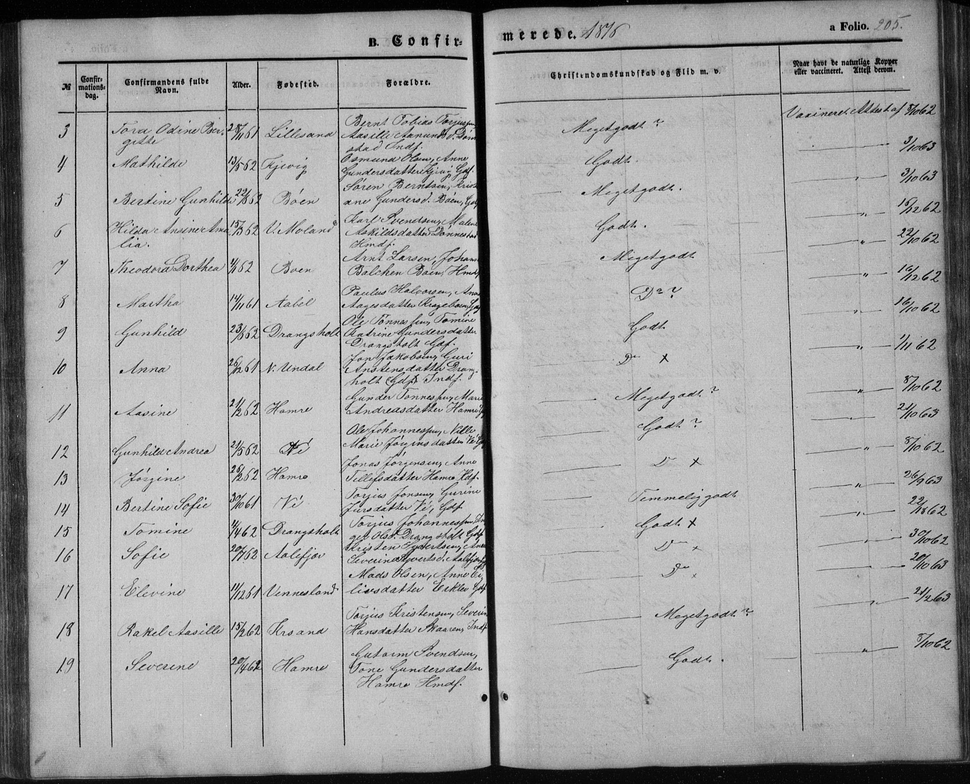 Tveit sokneprestkontor, AV/SAK-1111-0043/F/Fb/L0003: Parish register (copy) no. B 3, 1854-1886, p. 205