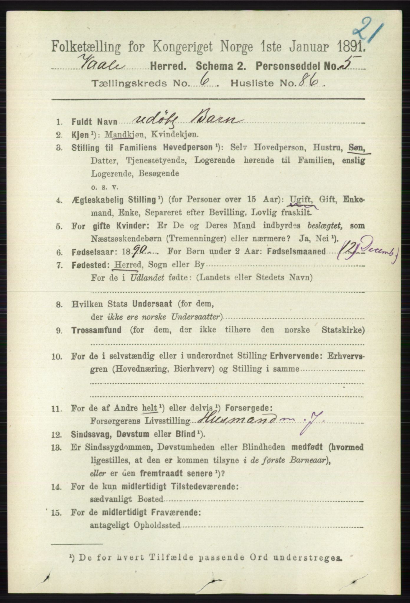 RA, 1891 census for 0716 Våle, 1891, p. 2295
