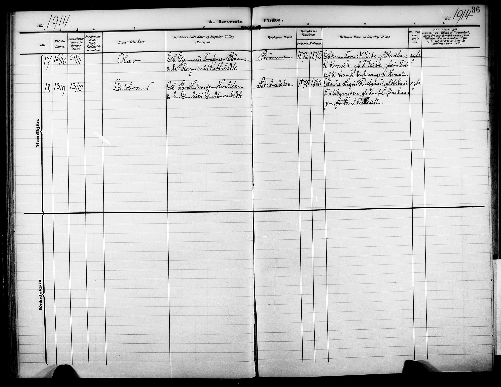 Nore kirkebøker, AV/SAKO-A-238/F/Fb/L0003: Parish register (official) no. II 3, 1906-1926, p. 36