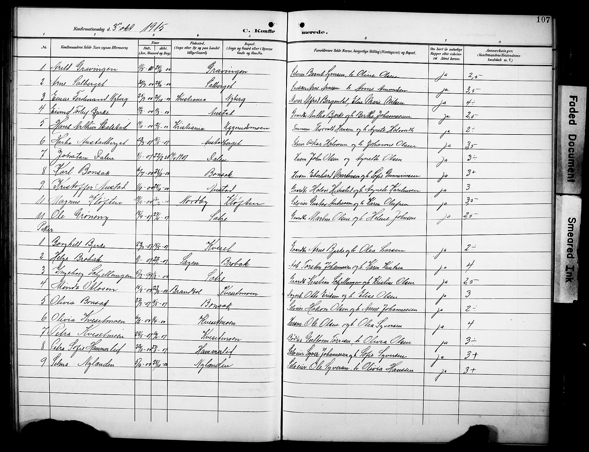 Hof prestekontor, AV/SAH-PREST-038/H/Ha/Hab/L0005: Parish register (copy) no. 5, 1899-1916, p. 107