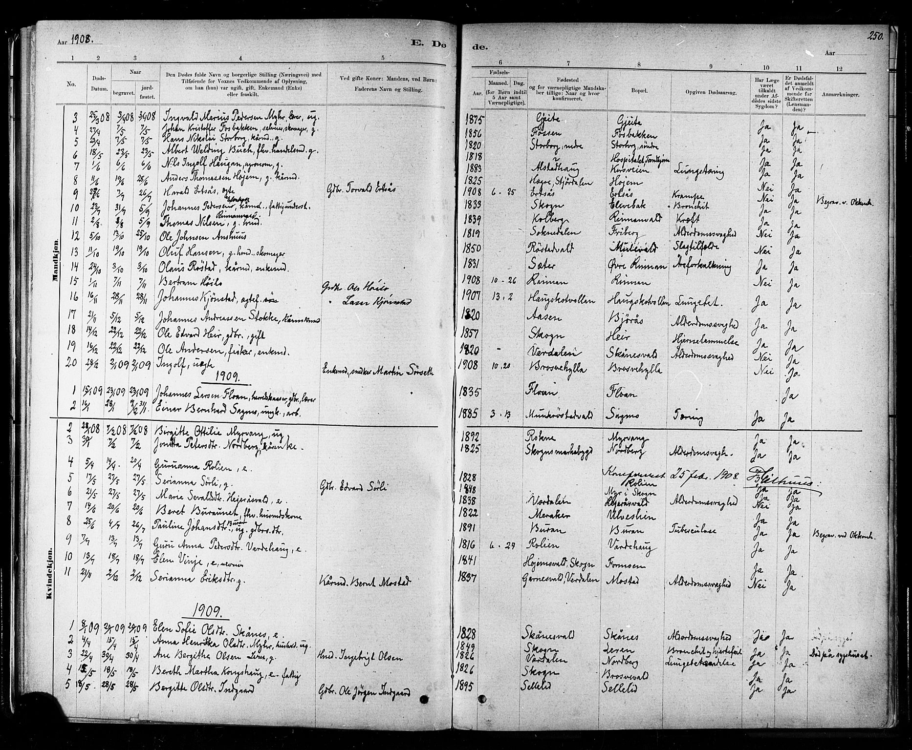 Ministerialprotokoller, klokkerbøker og fødselsregistre - Nord-Trøndelag, SAT/A-1458/721/L0208: Parish register (copy) no. 721C01, 1880-1917, p. 250