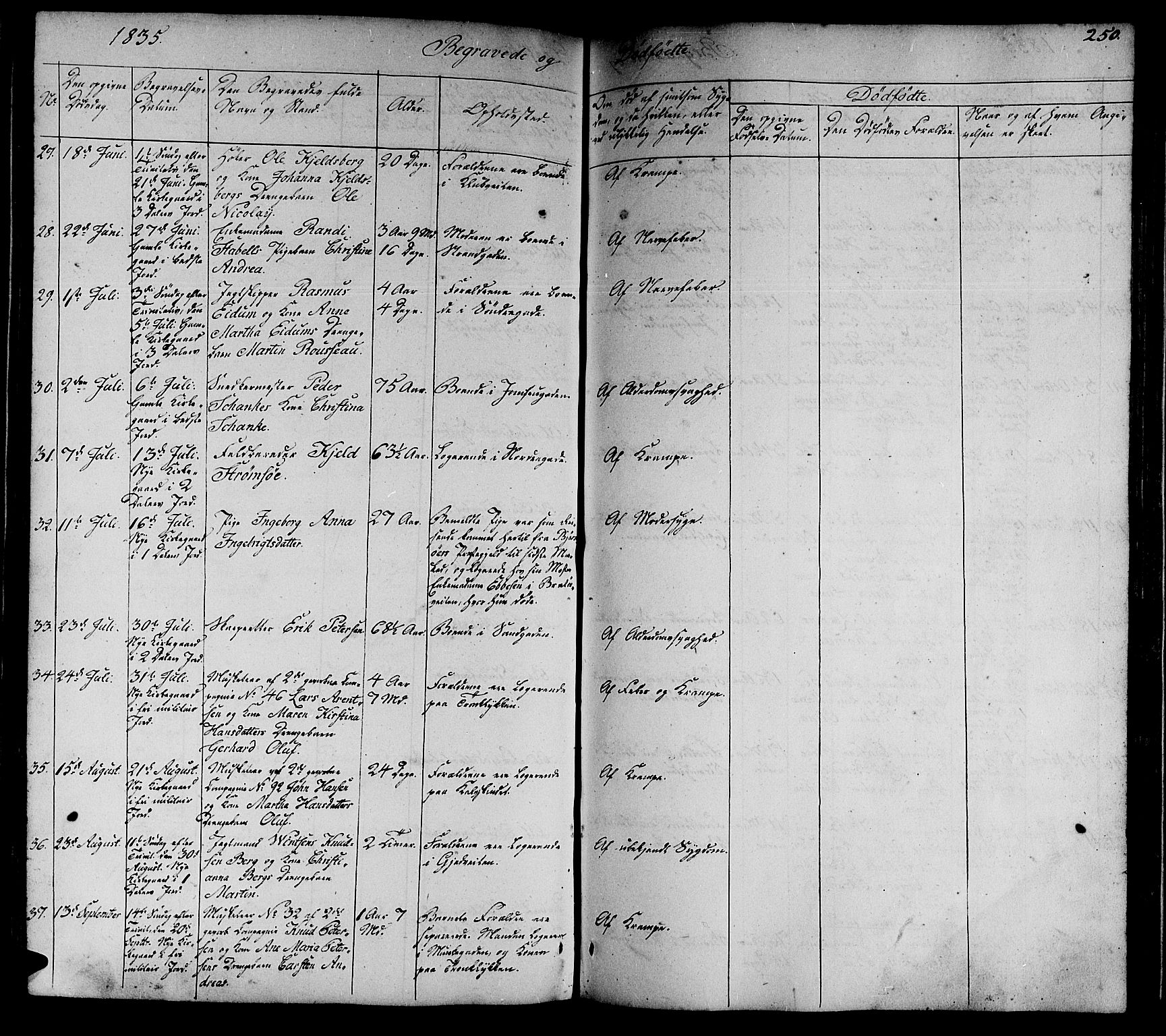 Ministerialprotokoller, klokkerbøker og fødselsregistre - Sør-Trøndelag, SAT/A-1456/602/L0136: Parish register (copy) no. 602C04, 1833-1845, p. 250