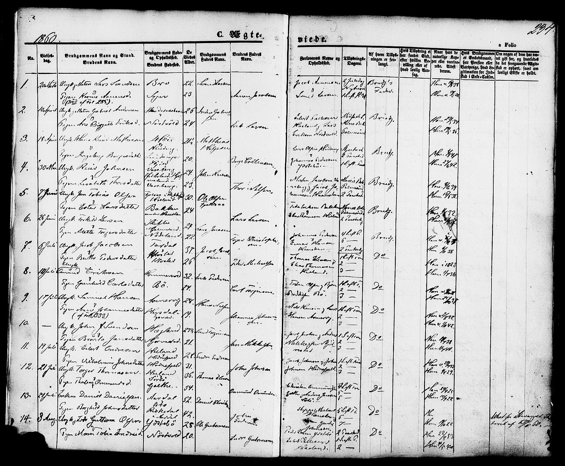 Rennesøy sokneprestkontor, SAST/A -101827/H/Ha/Haa/L0006: Parish register (official) no. A 6, 1860-1878, p. 234