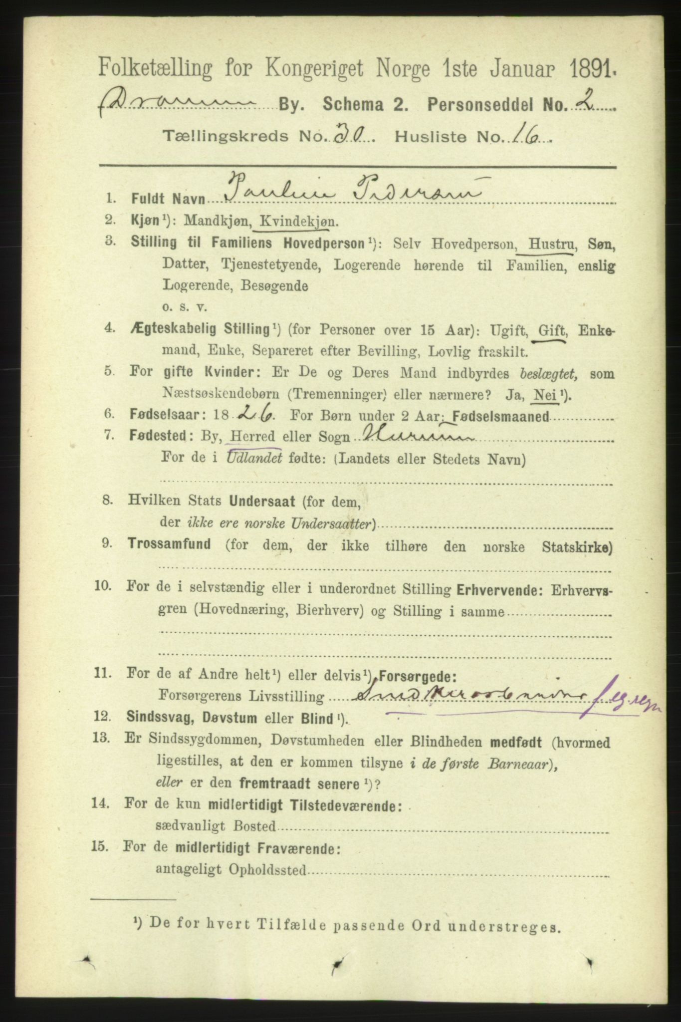 RA, 1891 census for 0602 Drammen, 1891, p. 18317