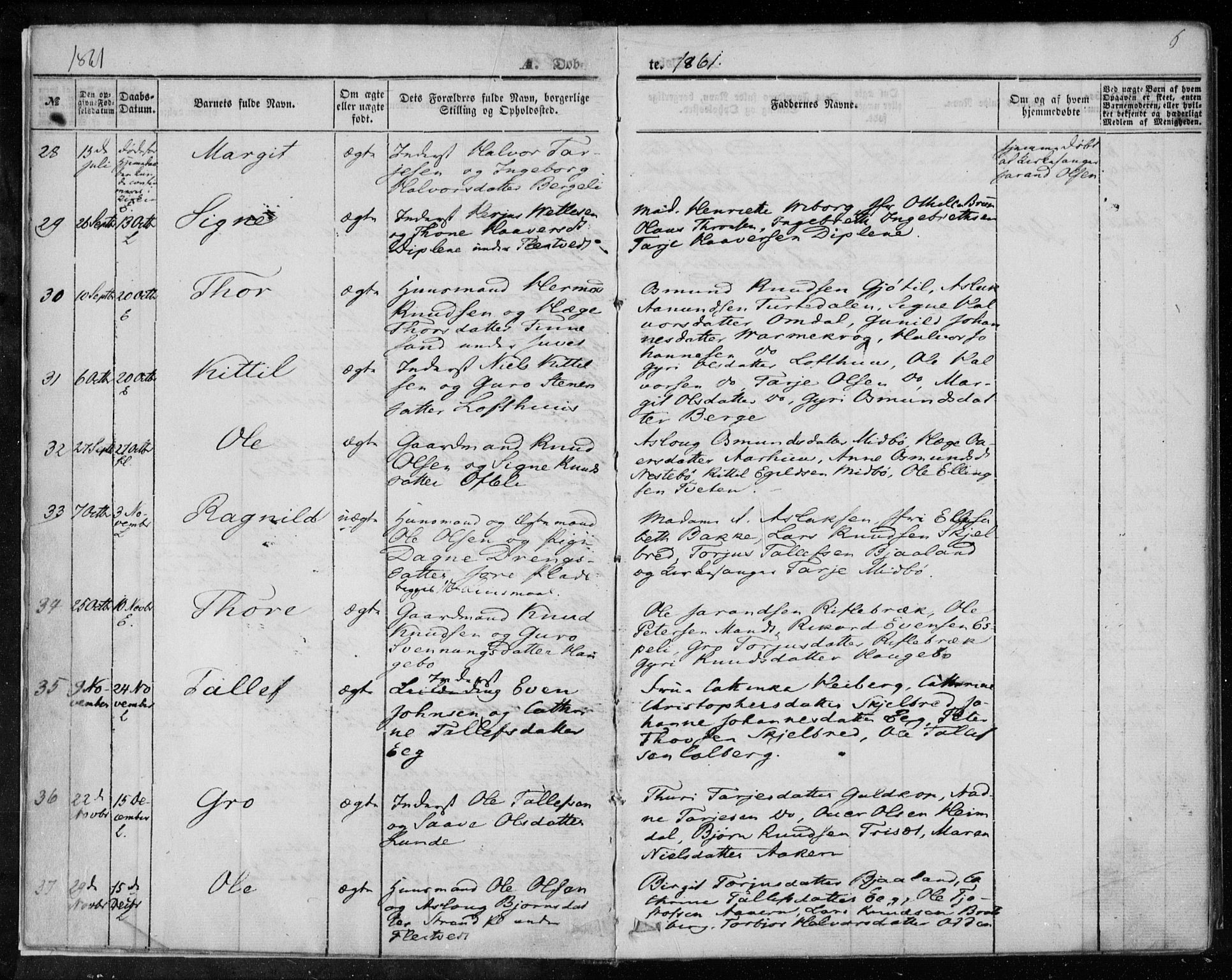 Lårdal kirkebøker, SAKO/A-284/F/Fa/L0006: Parish register (official) no. I 6, 1861-1886, p. 6
