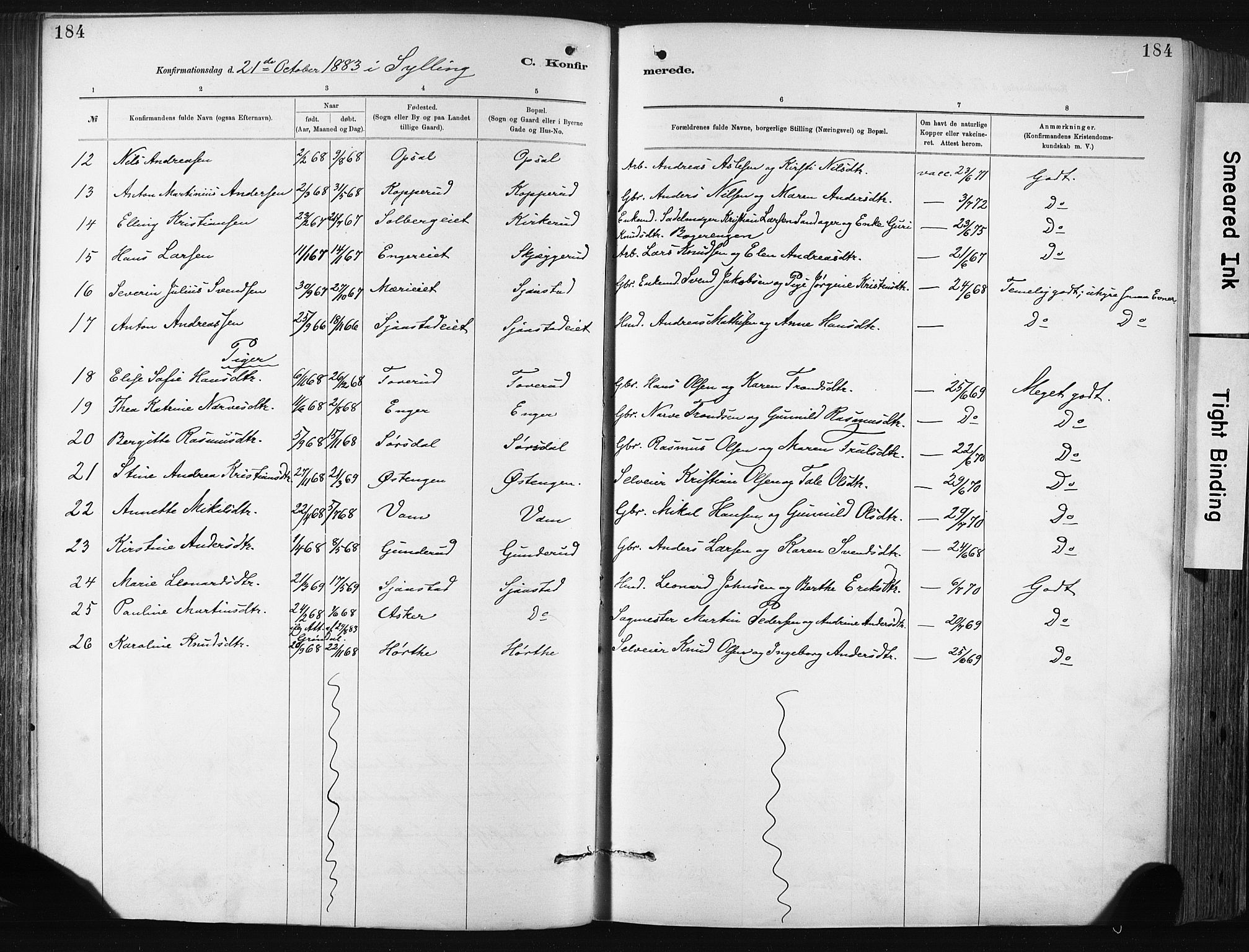 Lier kirkebøker, AV/SAKO-A-230/F/Fa/L0015: Parish register (official) no. I 15, 1883-1894, p. 184