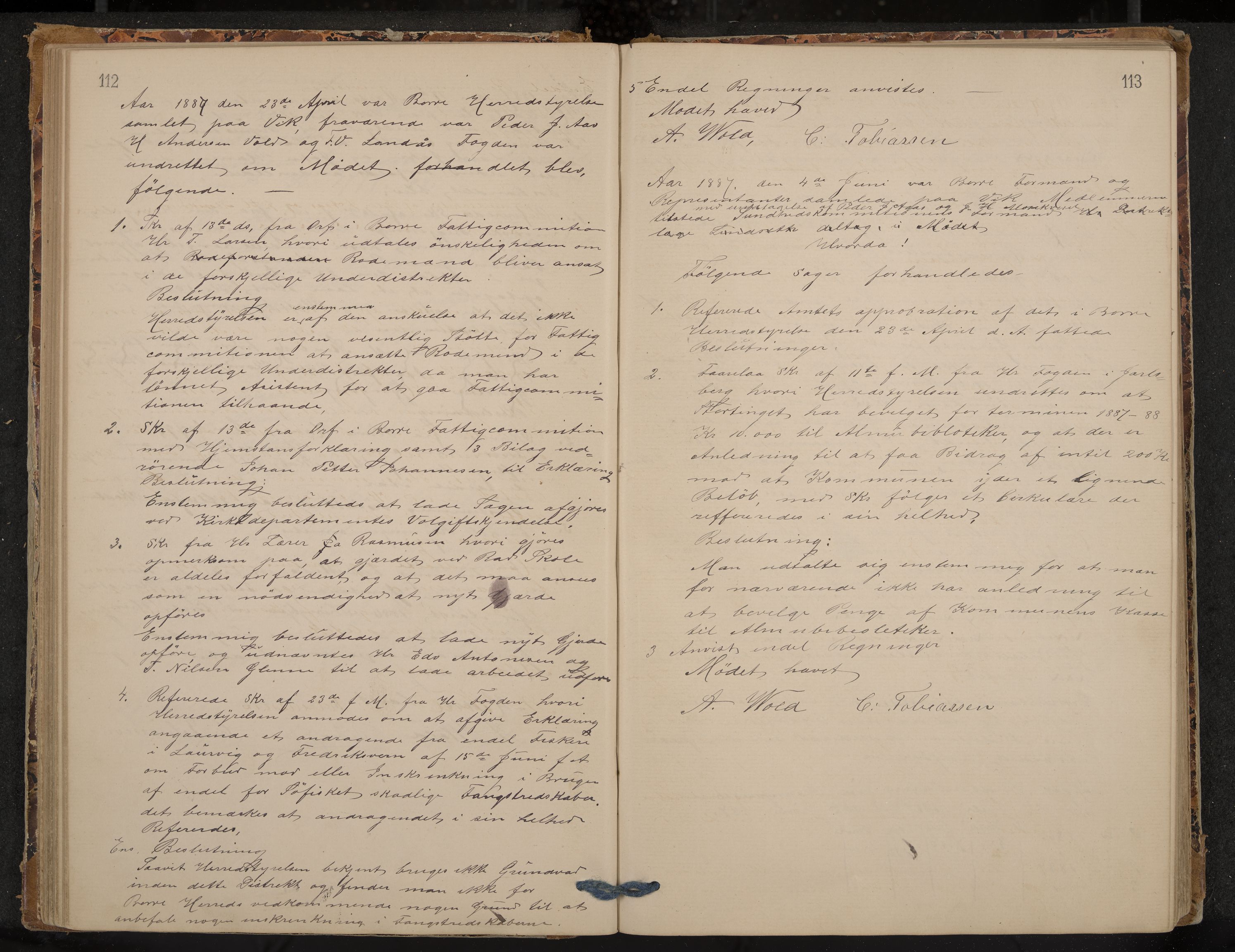 Borre formannskap og sentraladministrasjon, IKAK/0717021/A/L0002: Møtebok, 1881-1895, p. 112-113