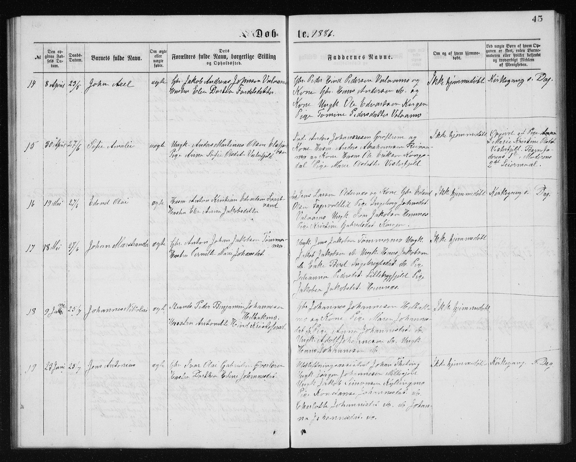 Ministerialprotokoller, klokkerbøker og fødselsregistre - Nordland, AV/SAT-A-1459/826/L0381: Parish register (copy) no. 826C01, 1877-1886, p. 45