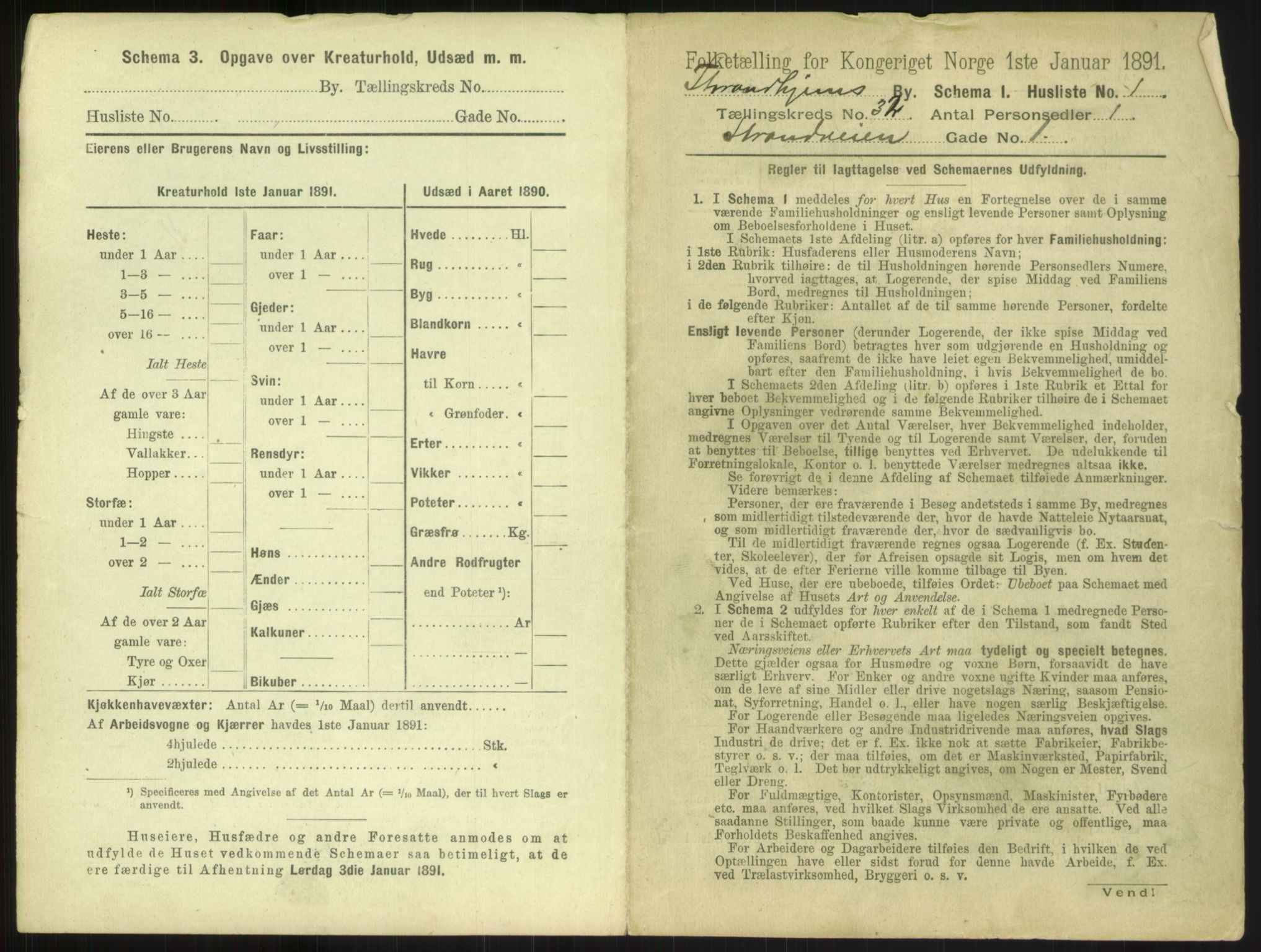 RA, 1891 census for 1601 Trondheim, 1891, p. 2440