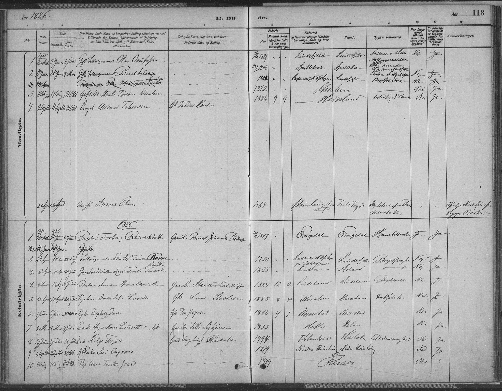 Fjotland sokneprestkontor, AV/SAK-1111-0010/F/Fa/L0002: Parish register (official) no. A 2, 1880-1898, p. 113