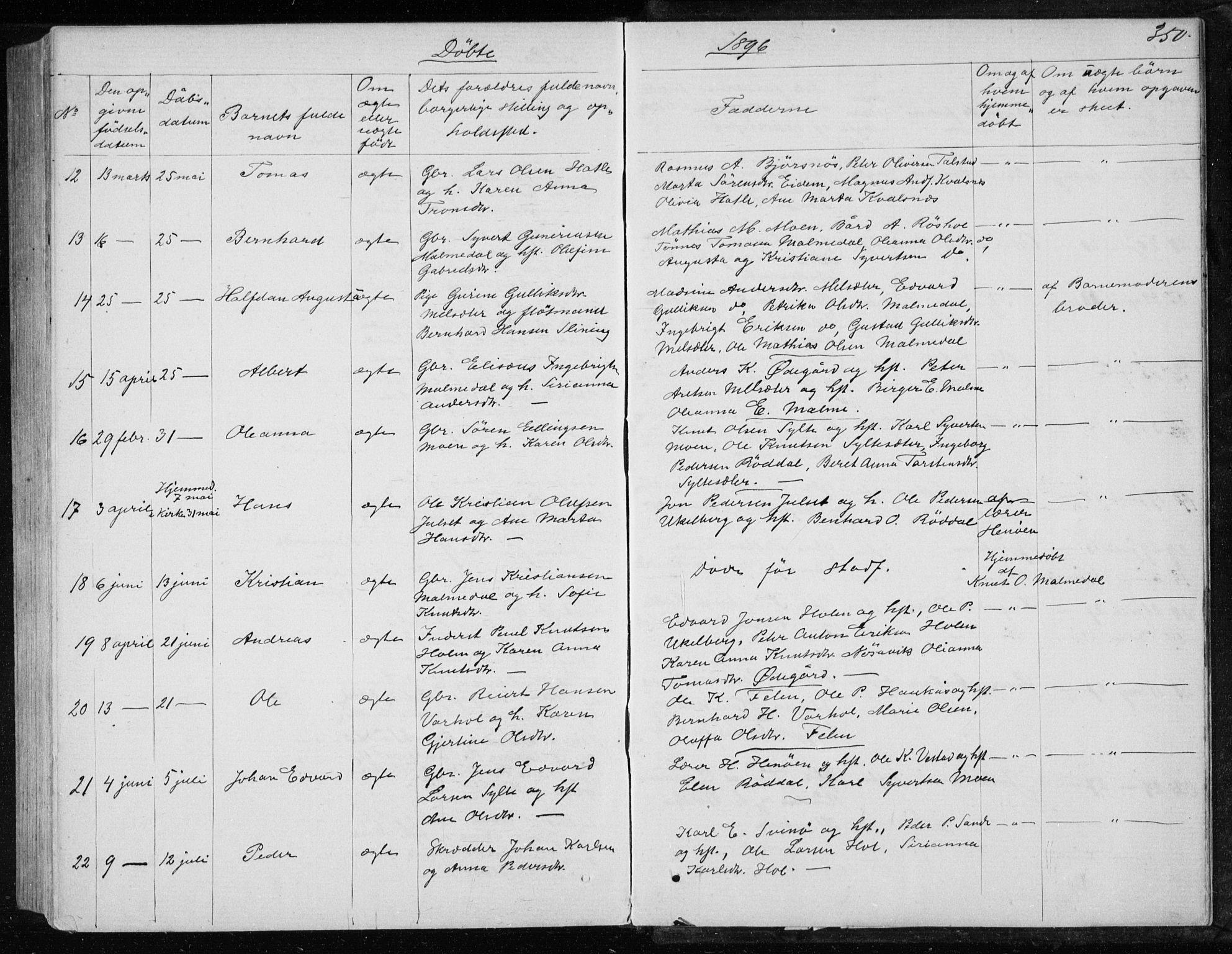 Ministerialprotokoller, klokkerbøker og fødselsregistre - Møre og Romsdal, AV/SAT-A-1454/565/L0754: Parish register (copy) no. 565C03, 1870-1896, p. 350