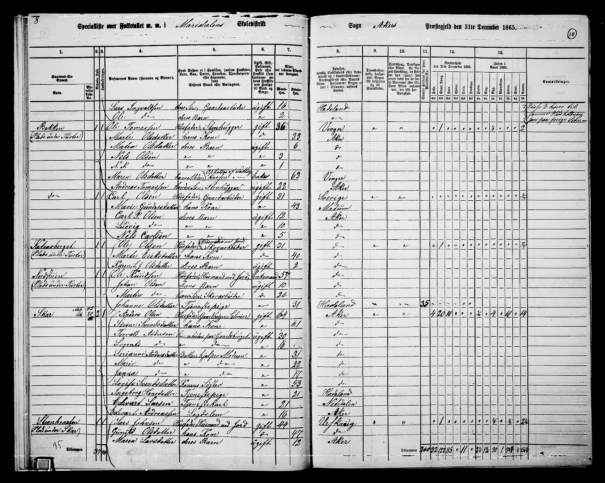 RA, 1865 census for Vestre Aker, 1865, p. 194