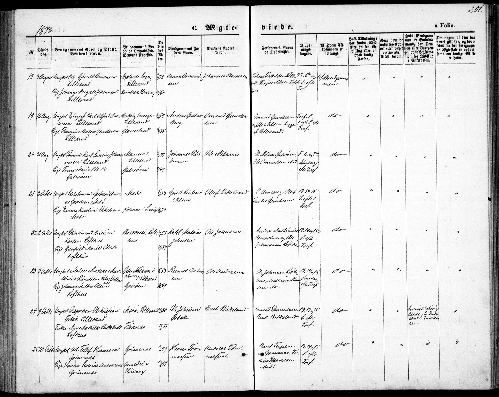 Vestre Moland sokneprestkontor, SAK/1111-0046/F/Fb/Fbb/L0005: Parish register (copy) no. B 5, 1872-1883, p. 207