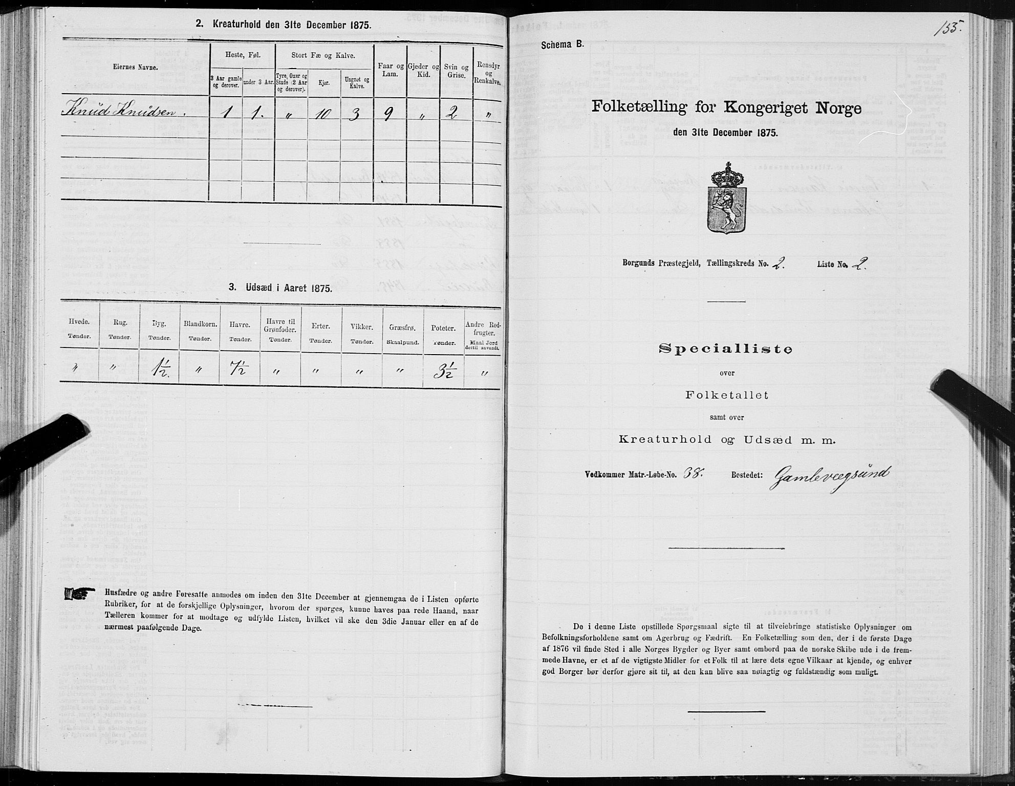 SAT, 1875 census for 1531P Borgund, 1875, p. 1155