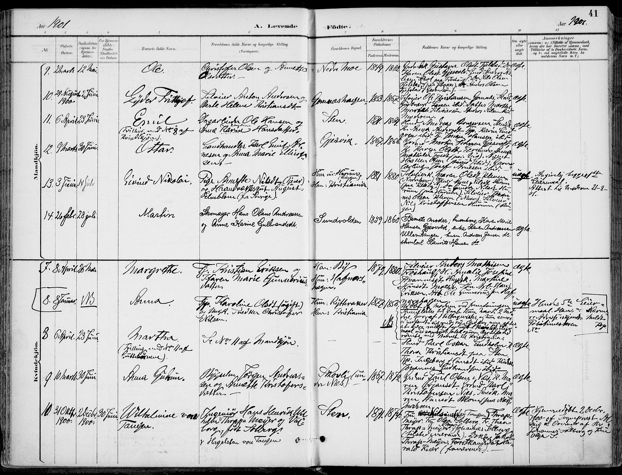 Hole kirkebøker, SAKO/A-228/F/Fa/L0009: Parish register (official) no. I 9, 1892-1907, p. 41