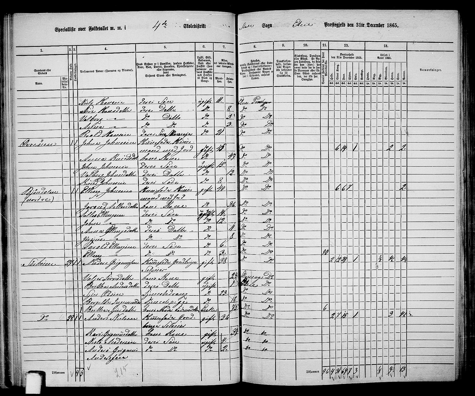 RA, 1865 census for Etne, 1865, p. 35