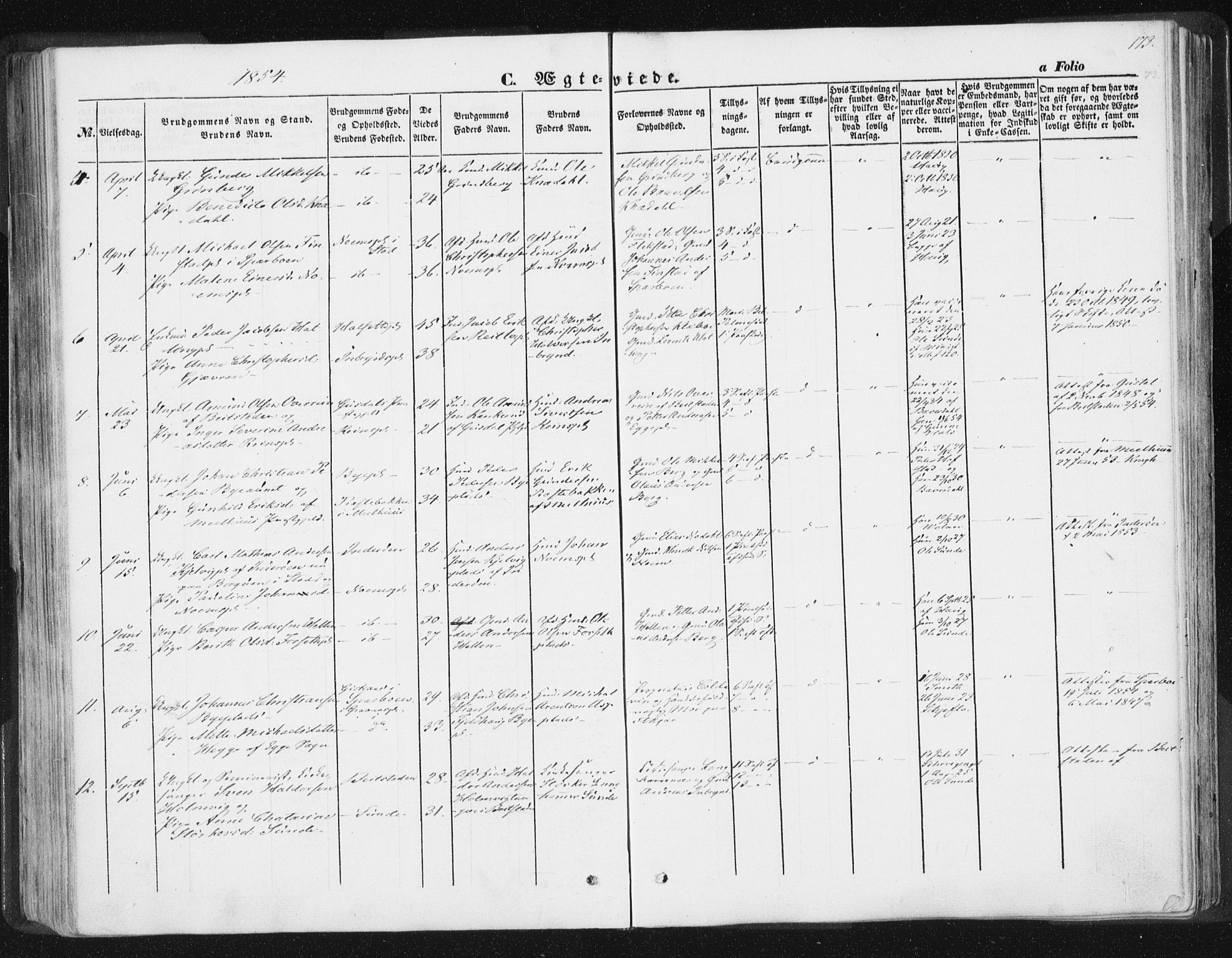 Ministerialprotokoller, klokkerbøker og fødselsregistre - Nord-Trøndelag, AV/SAT-A-1458/746/L0446: Parish register (official) no. 746A05, 1846-1859, p. 173