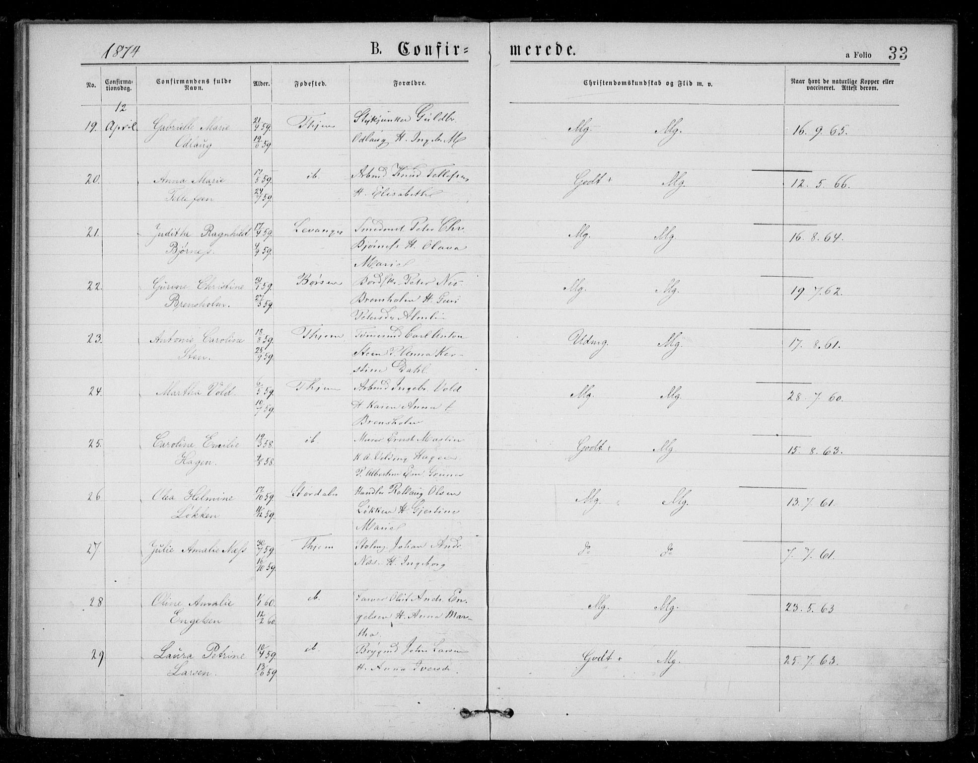 Ministerialprotokoller, klokkerbøker og fødselsregistre - Sør-Trøndelag, AV/SAT-A-1456/602/L0121: Parish register (official) no. 602A19, 1872-1879, p. 33