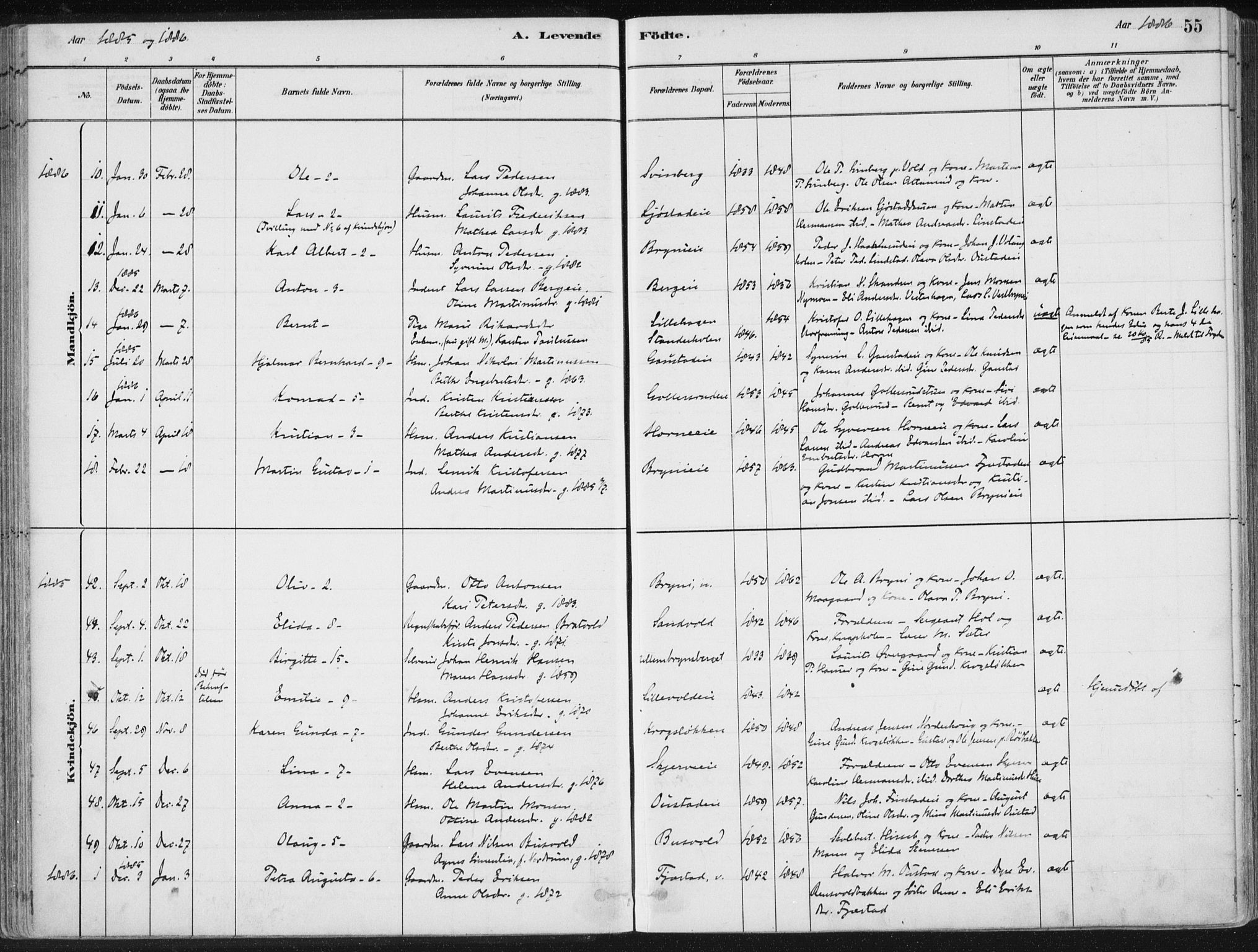 Romedal prestekontor, AV/SAH-PREST-004/K/L0010: Parish register (official) no. 10, 1880-1895, p. 55
