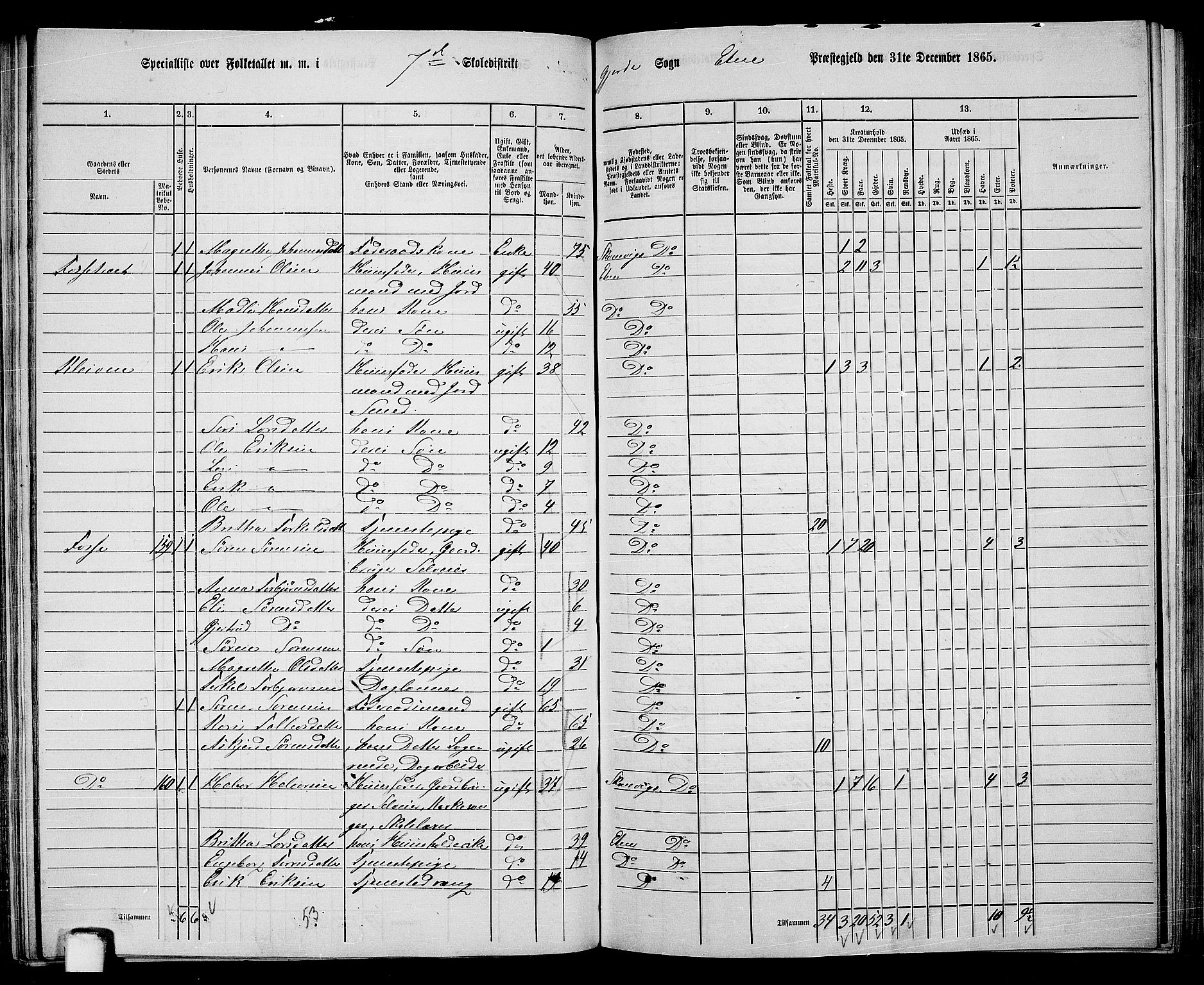 RA, 1865 census for Etne, 1865, p. 117