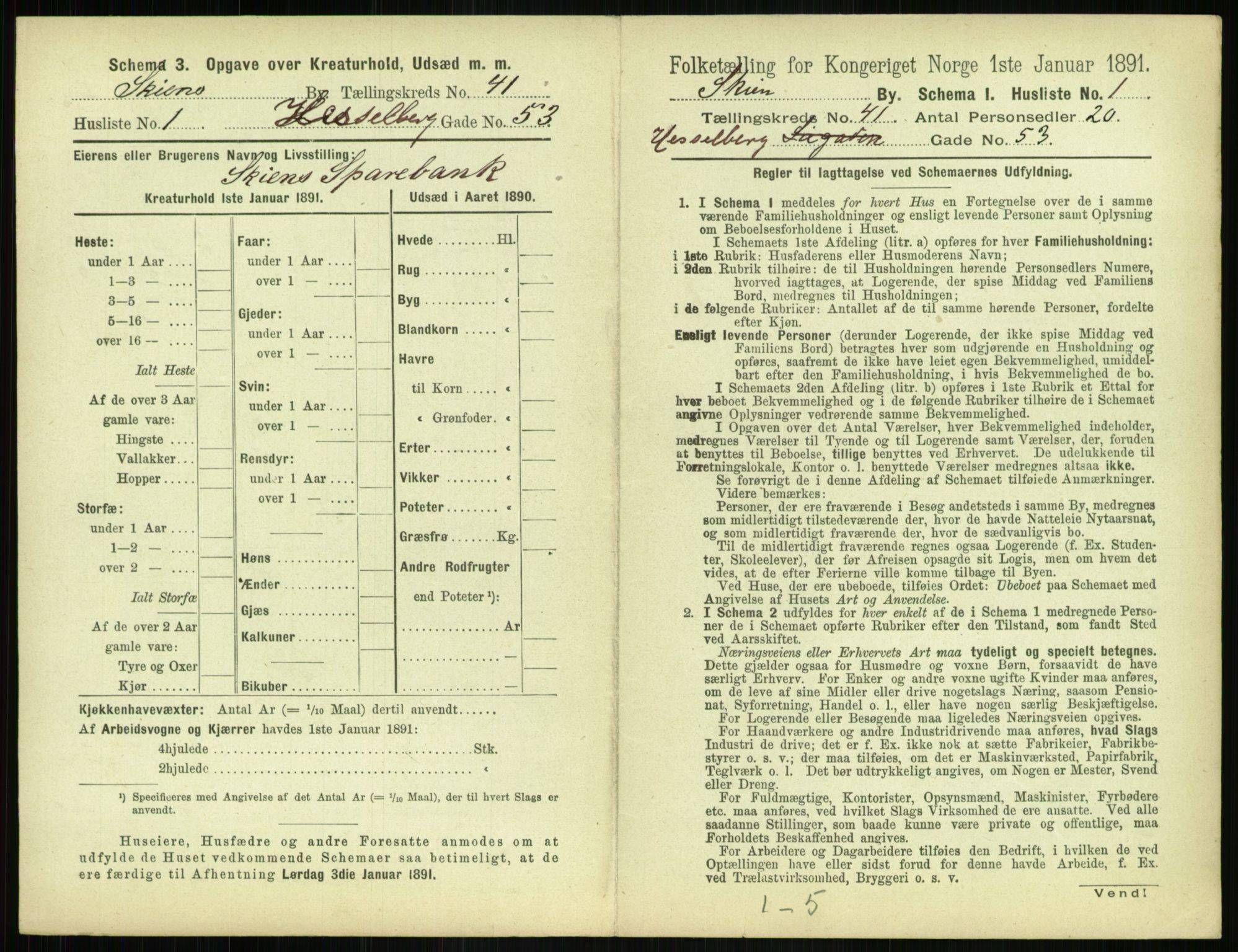 RA, 1891 census for 0806 Skien, 1891, p. 1458