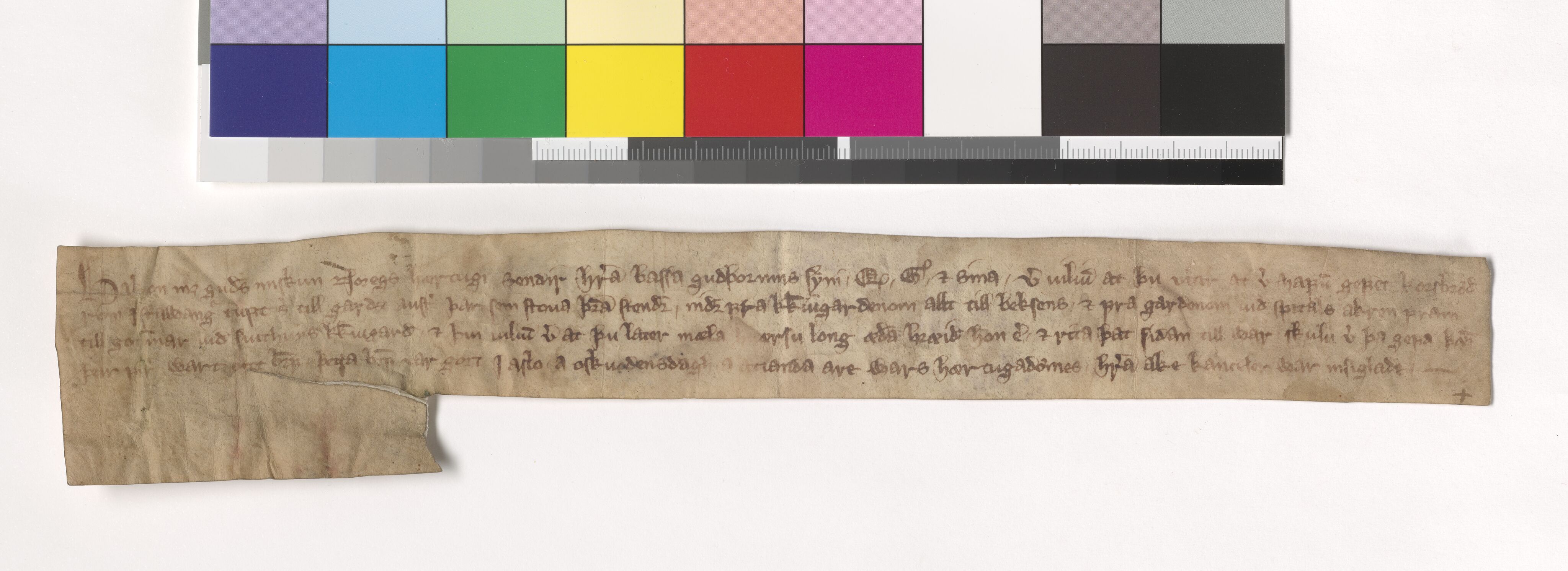 Riksarkivets diplomsamling, AV/RA-EA-5965/F05/L0078: NRA AM fasc. 27 nr. 1a-7, 1292-1299, p. 19