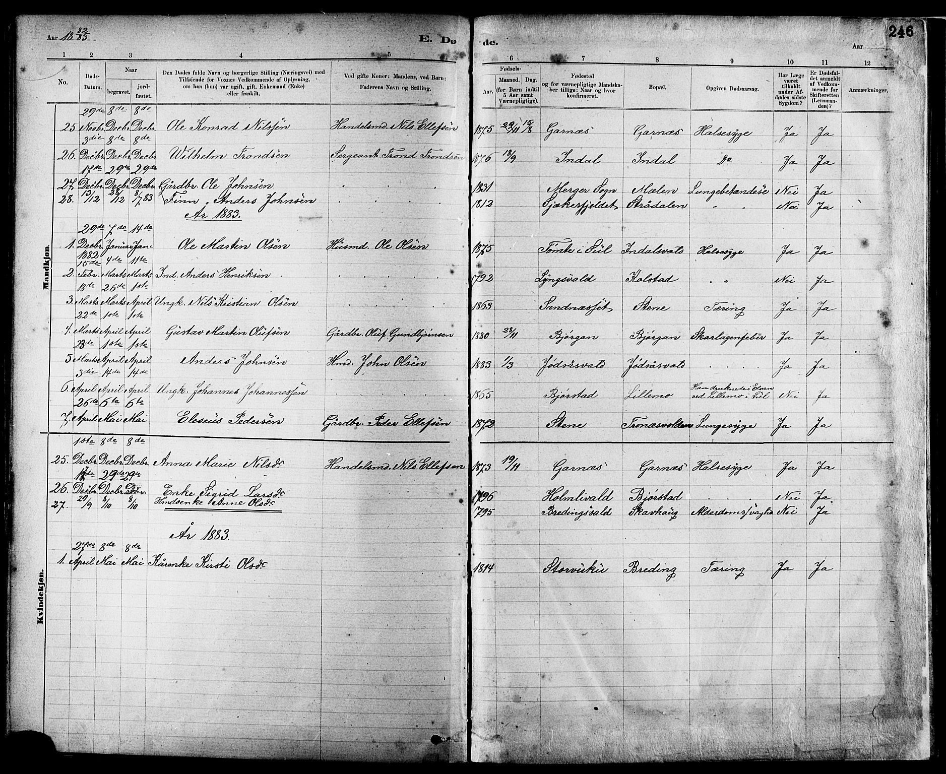 Ministerialprotokoller, klokkerbøker og fødselsregistre - Nord-Trøndelag, SAT/A-1458/724/L0267: Parish register (copy) no. 724C03, 1879-1898, p. 246