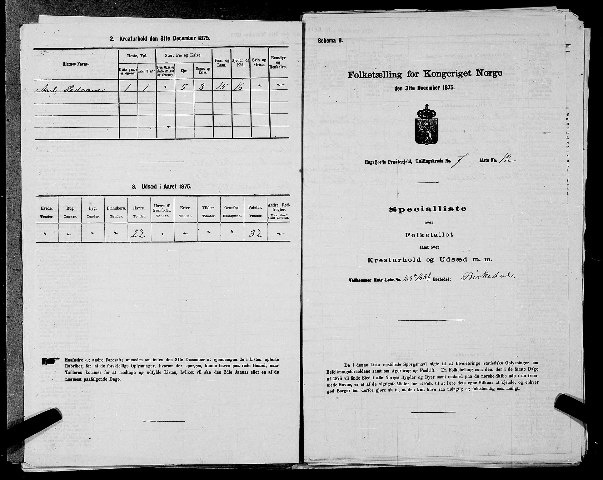 SAST, 1875 census for 1128P Høgsfjord, 1875, p. 621