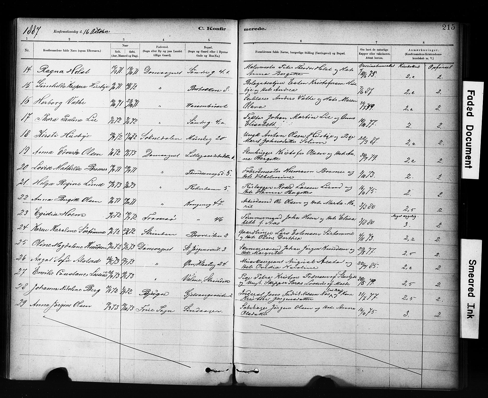 Ministerialprotokoller, klokkerbøker og fødselsregistre - Sør-Trøndelag, AV/SAT-A-1456/601/L0071: Curate's parish register no. 601B04, 1882-1931, p. 215