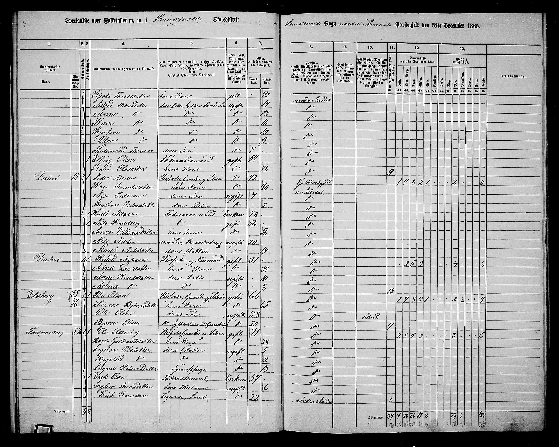 RA, 1865 census for Nord-Aurdal, 1865, p. 17