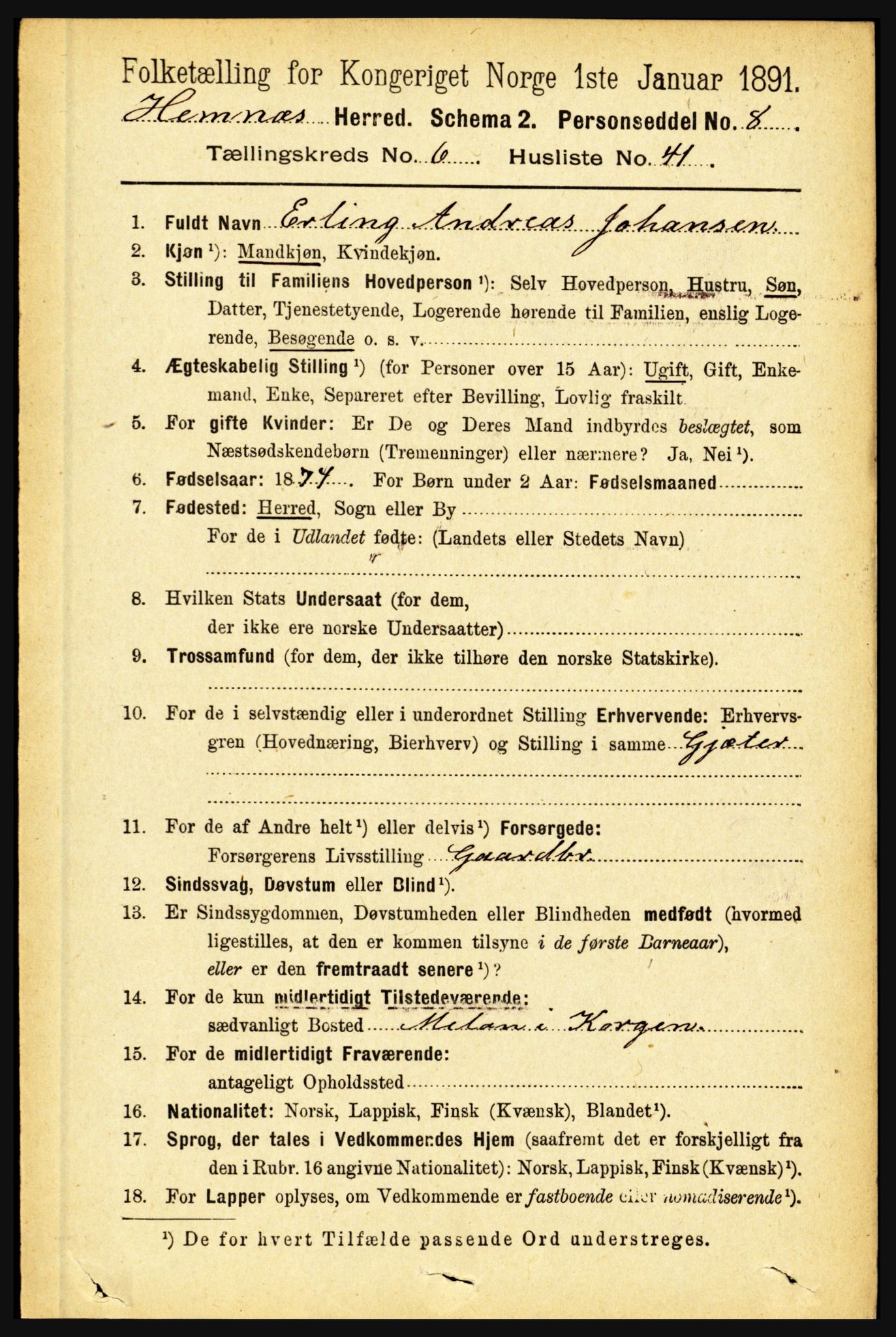 RA, 1891 census for 1832 Hemnes, 1891, p. 3202