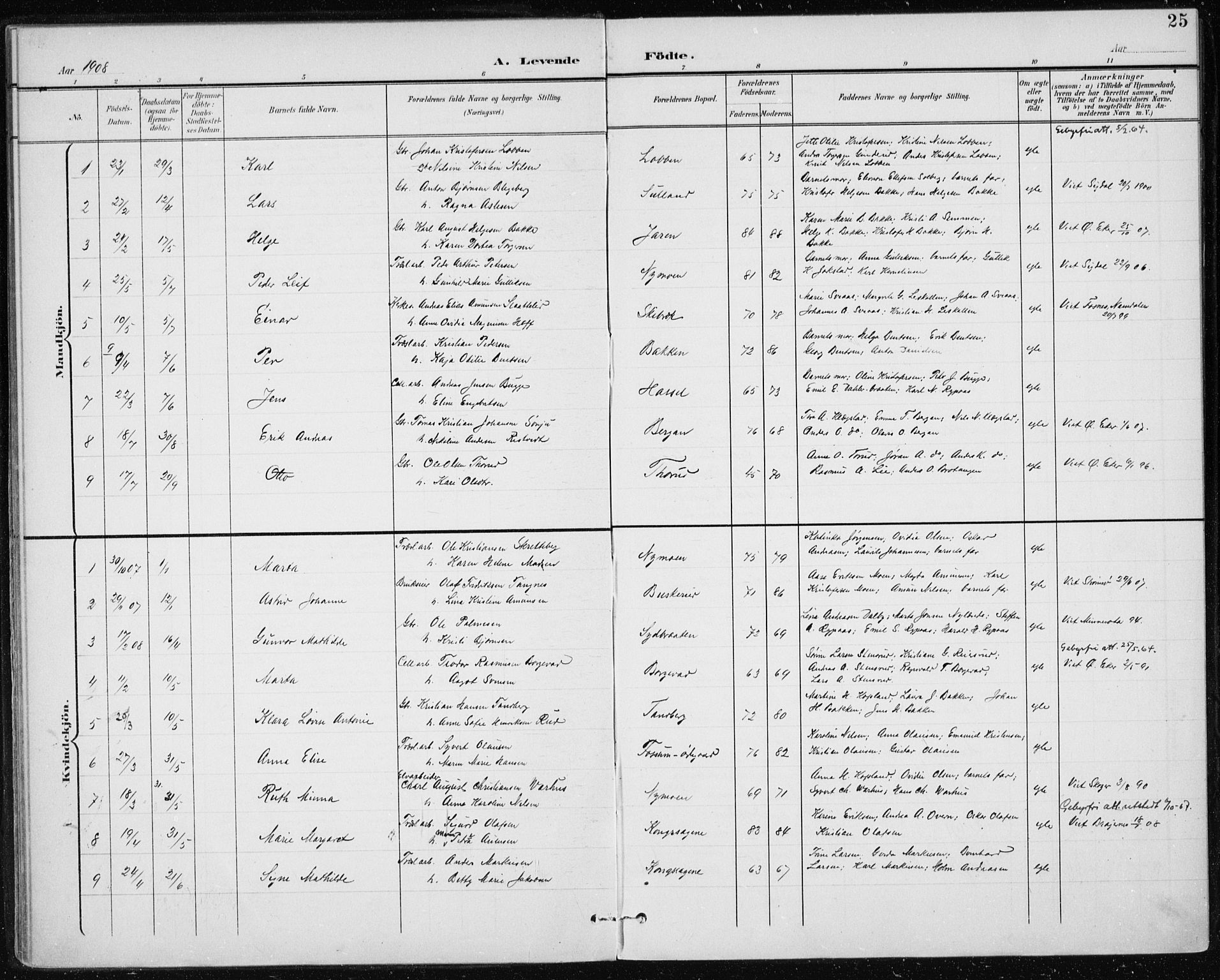 Modum kirkebøker, AV/SAKO-A-234/F/Fa/L0017: Parish register (official) no. 17, 1900-1915, p. 25