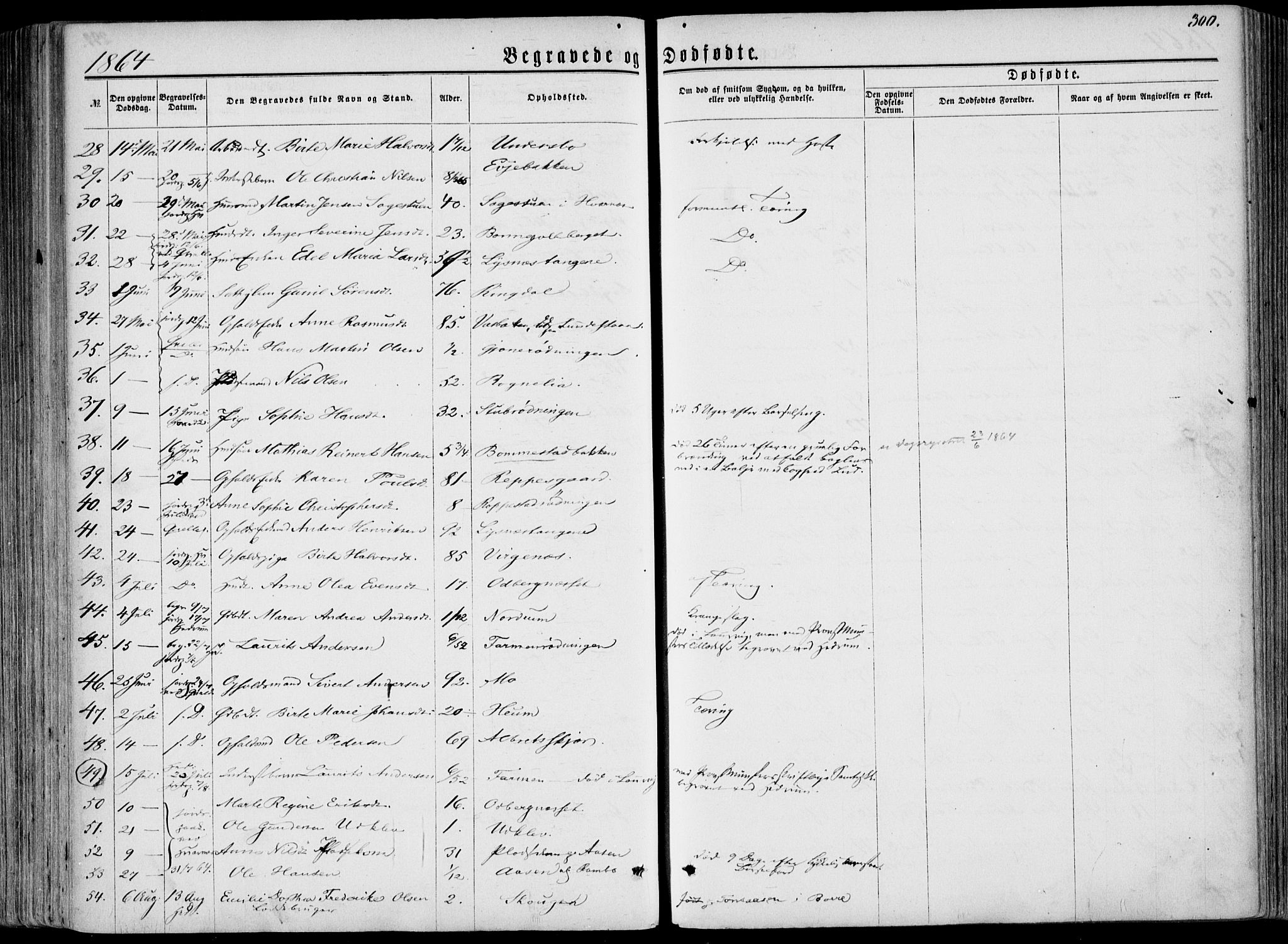 Hedrum kirkebøker, AV/SAKO-A-344/F/Fa/L0007: Parish register (official) no. I 7, 1857-1868, p. 300