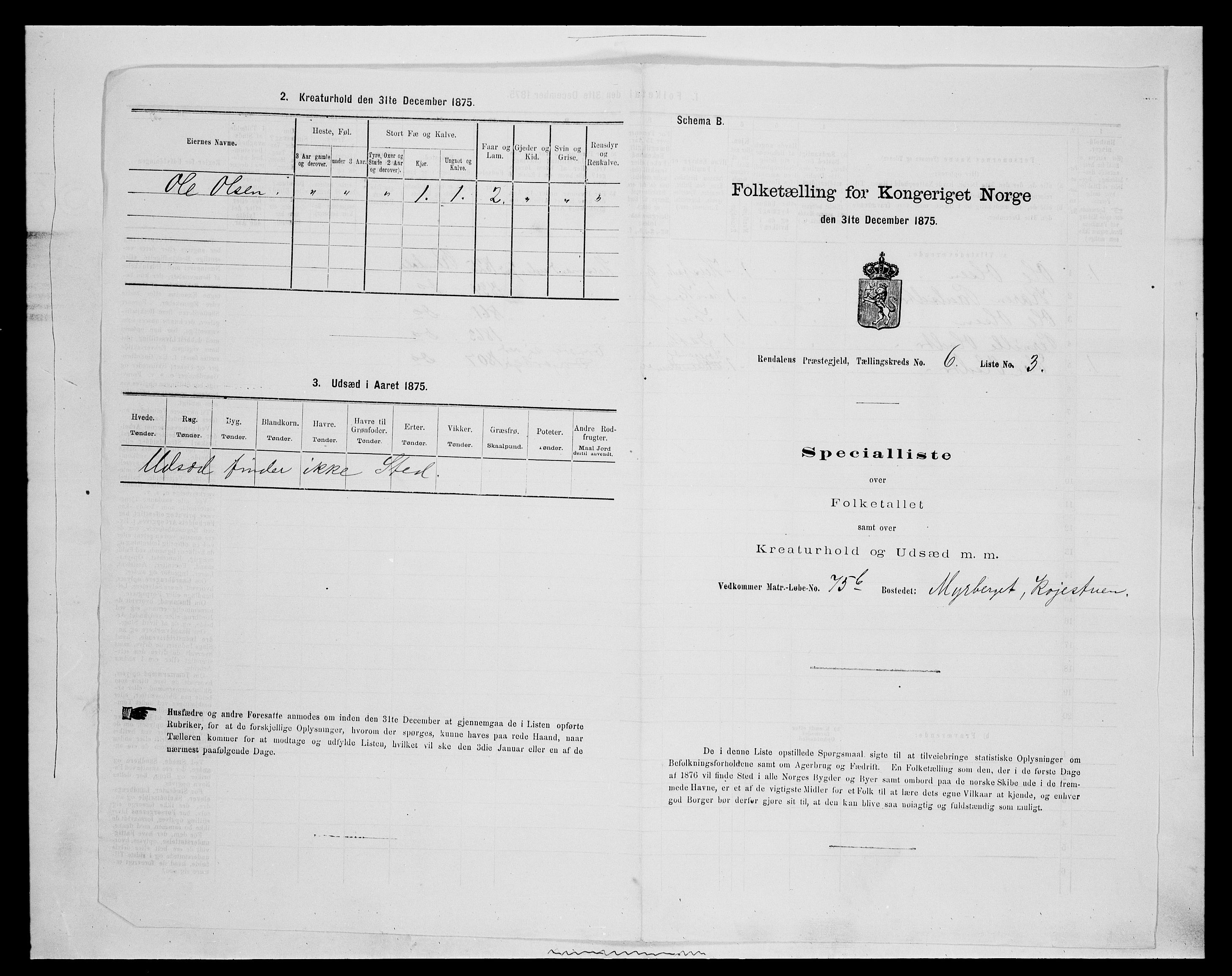 SAH, 1875 census for 0432P Rendalen, 1875, p. 505