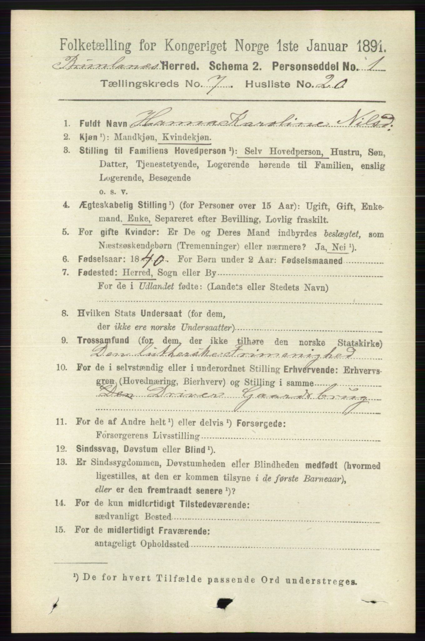 RA, 1891 census for 0726 Brunlanes, 1891, p. 3114