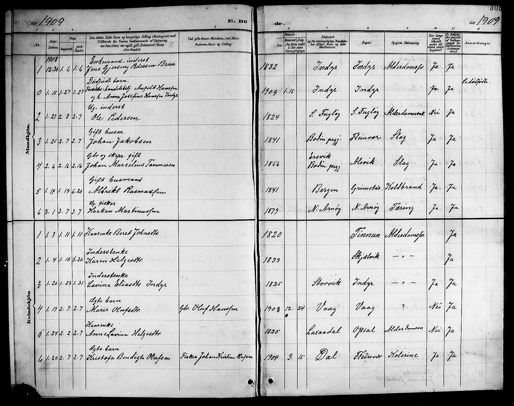 Ministerialprotokoller, klokkerbøker og fødselsregistre - Nordland, SAT/A-1459/805/L0109: Parish register (copy) no. 805C05, 1900-1911, p. 305