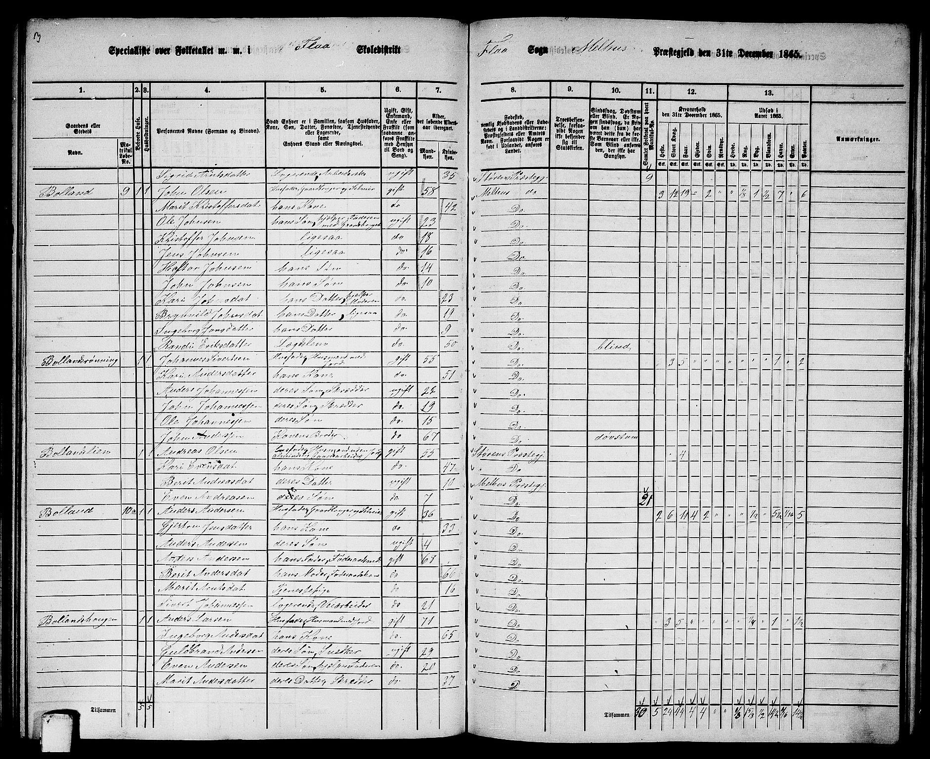 RA, 1865 census for Melhus, 1865, p. 134