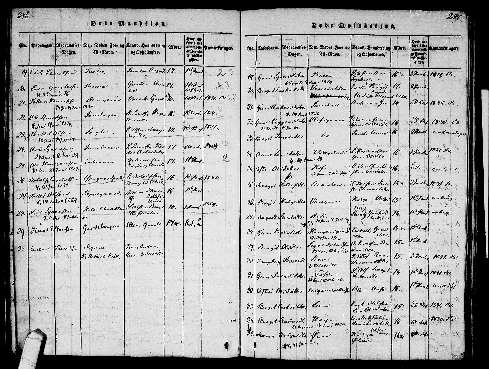 Ål kirkebøker, AV/SAKO-A-249/F/Fa/L0004: Parish register (official) no. I 4, 1815-1825, p. 246-247