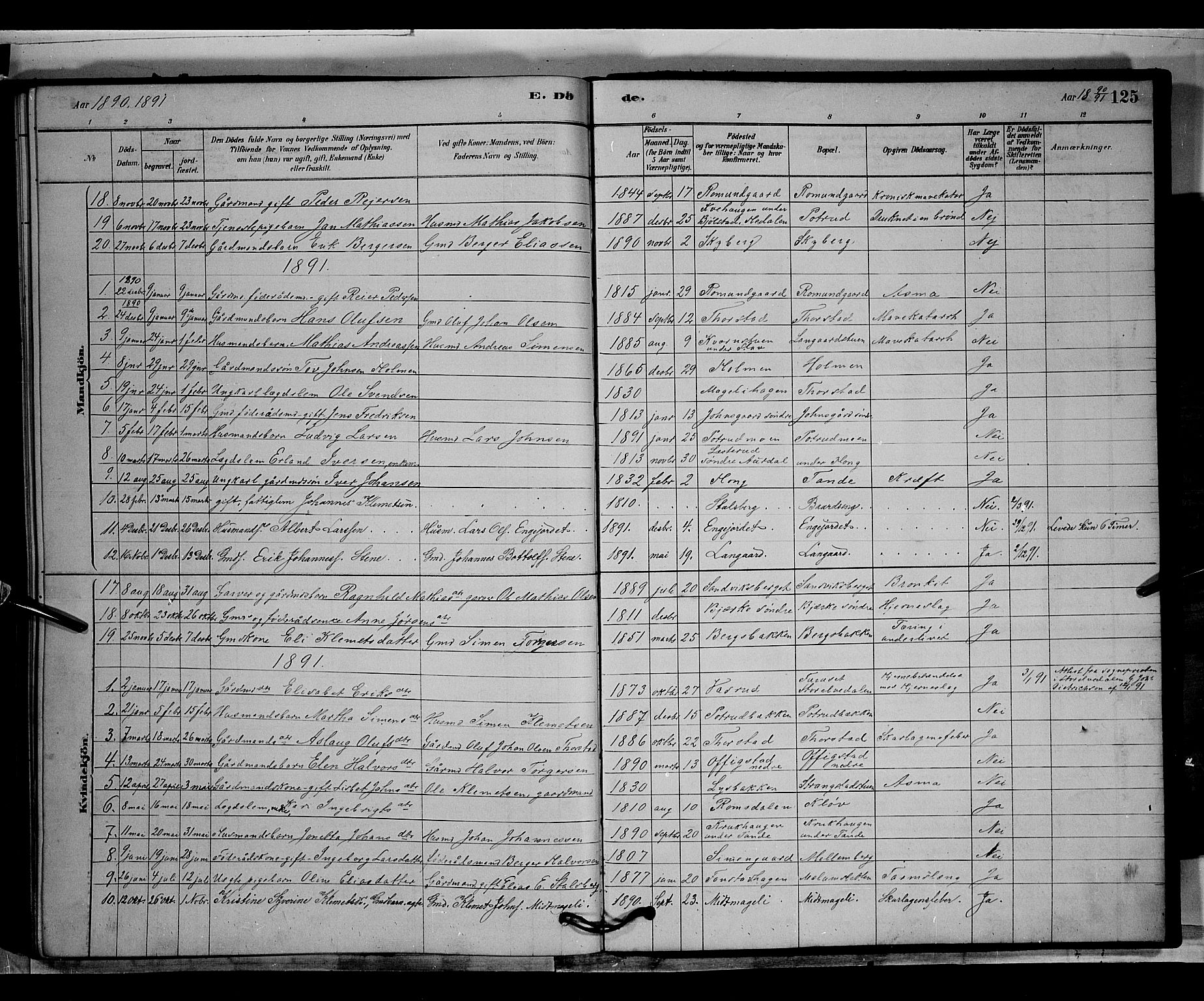 Øyer prestekontor, AV/SAH-PREST-084/H/Ha/Hab/L0003: Parish register (copy) no. 3, 1878-1893, p. 125