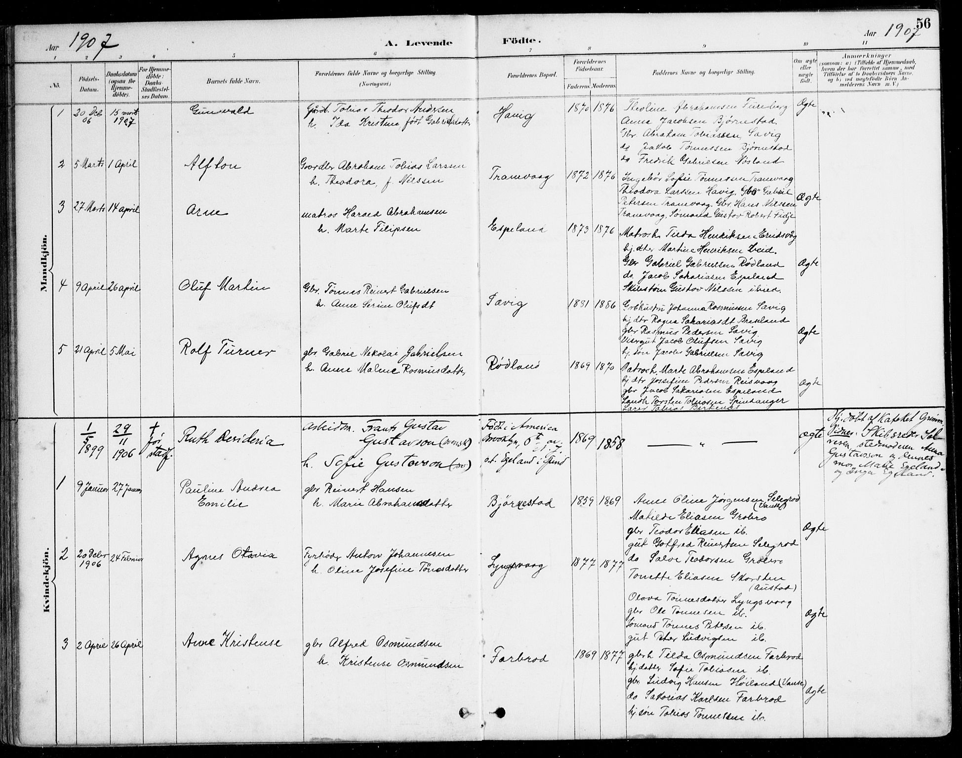 Herad sokneprestkontor, SAK/1111-0018/F/Fa/Fab/L0005: Parish register (official) no. A 5, 1886-1913, p. 56