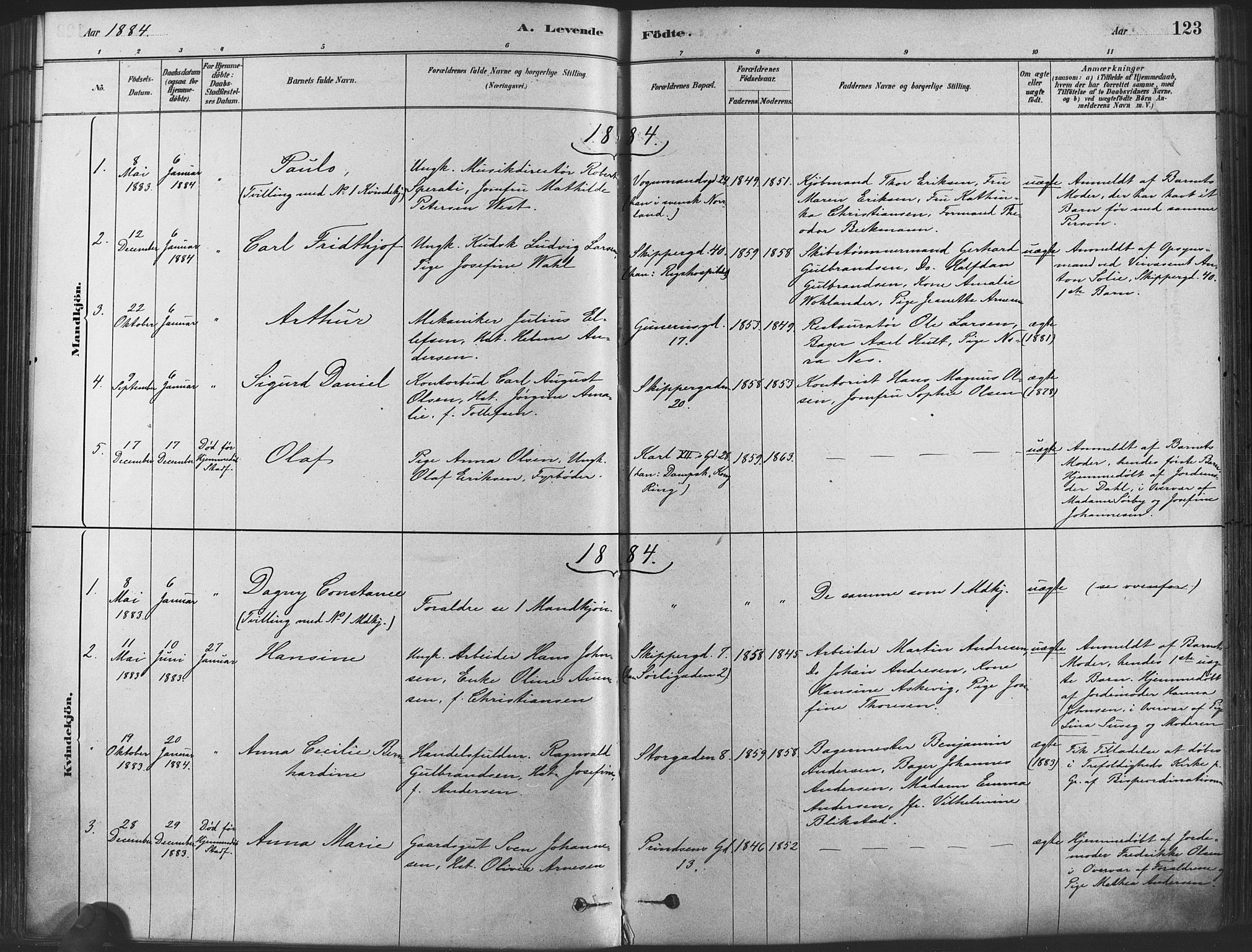 Oslo domkirke Kirkebøker, SAO/A-10752/F/Fa/L0029: Parish register (official) no. 29, 1879-1892, p. 123