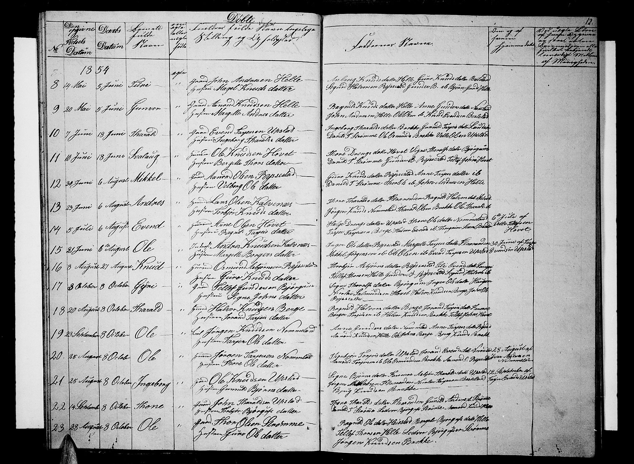 Valle sokneprestkontor, SAK/1111-0044/F/Fb/Fbb/L0001: Parish register (copy) no. B 1, 1848-1875, p. 12