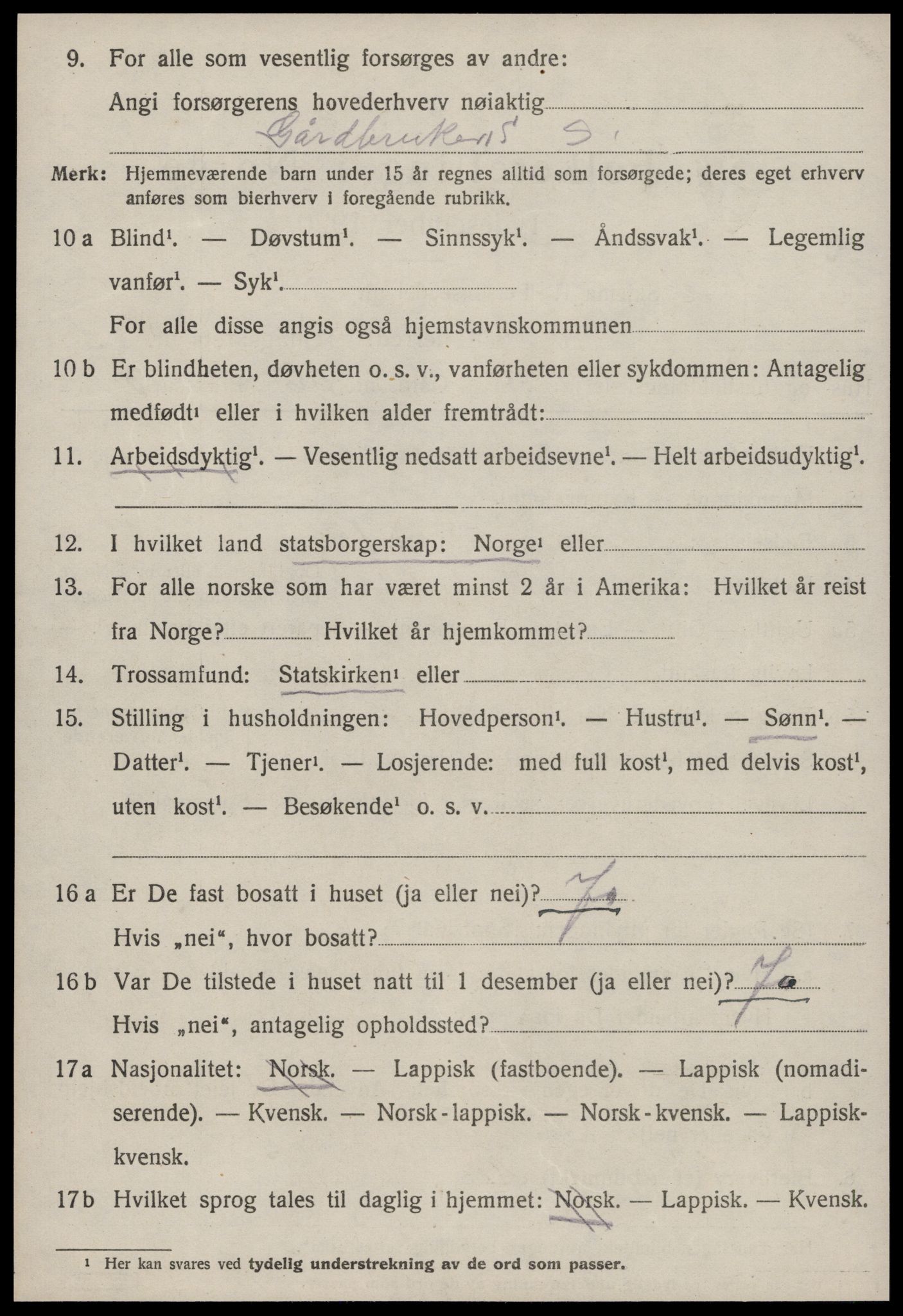 SAT, 1920 census for Strinda, 1920, p. 20251