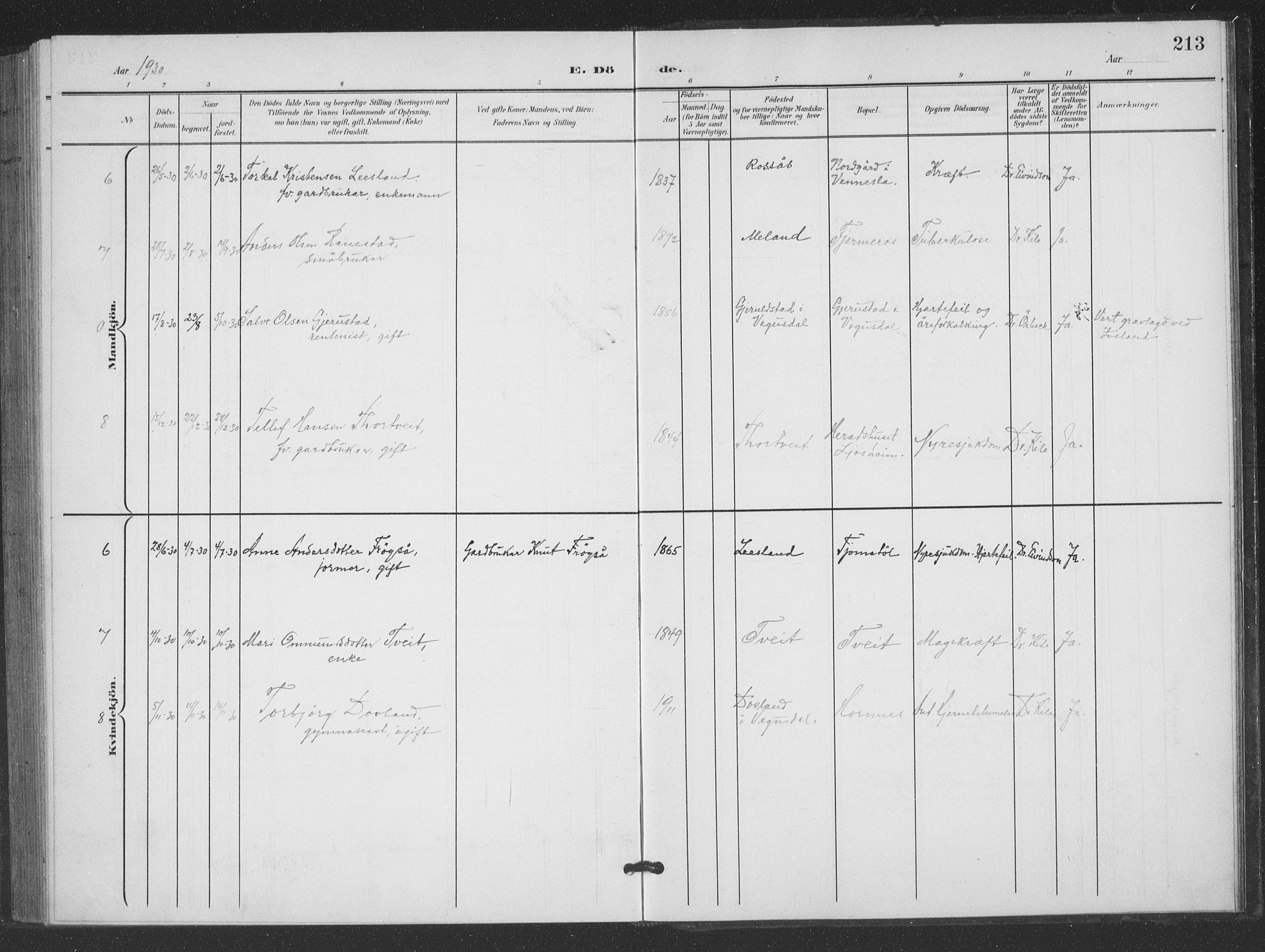 Evje sokneprestkontor, AV/SAK-1111-0008/F/Fb/Fbc/L0005: Parish register (copy) no. B 5, 1901-1935, p. 213