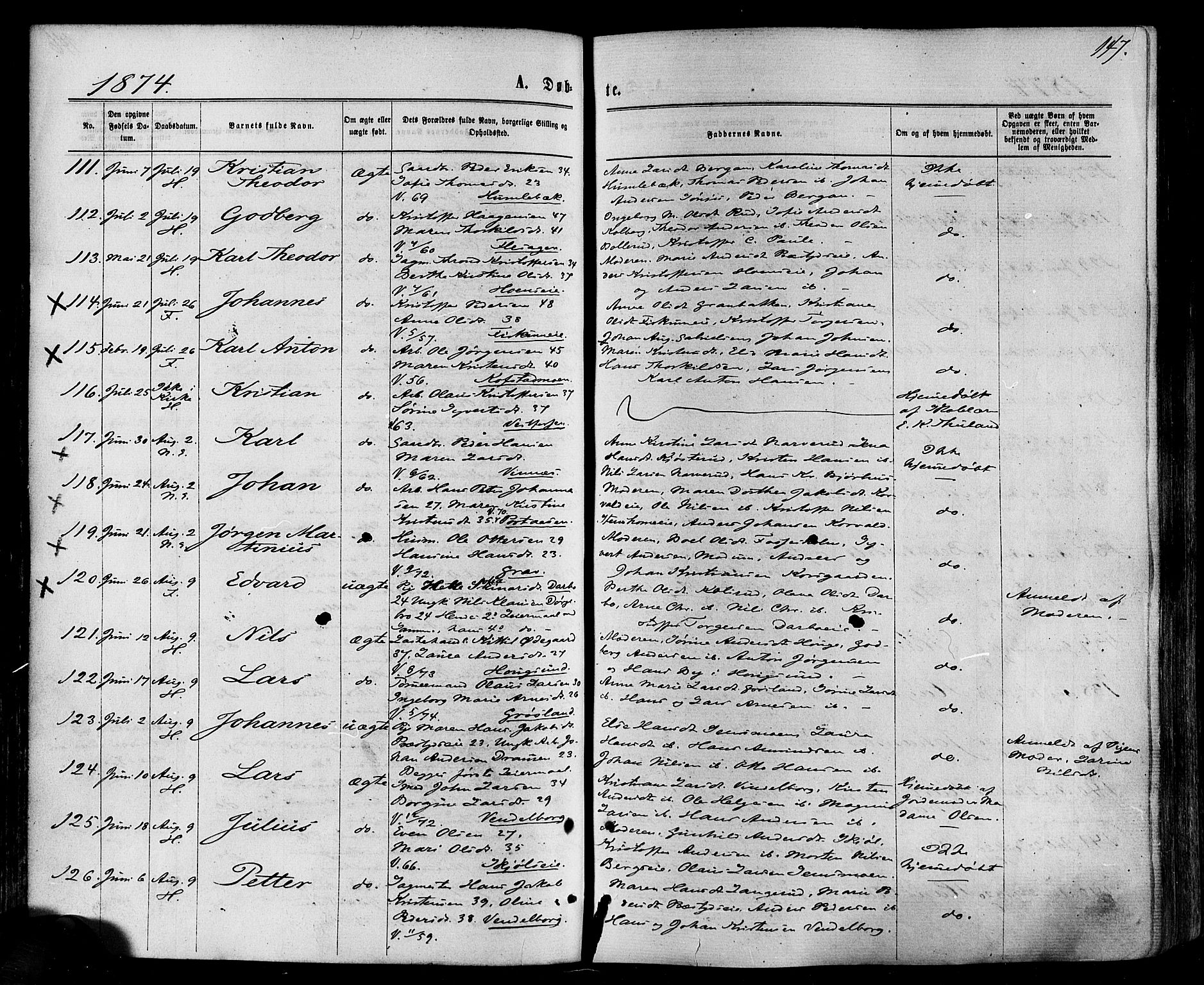 Eiker kirkebøker, SAKO/A-4/F/Fa/L0017: Parish register (official) no. I 17, 1869-1877, p. 147